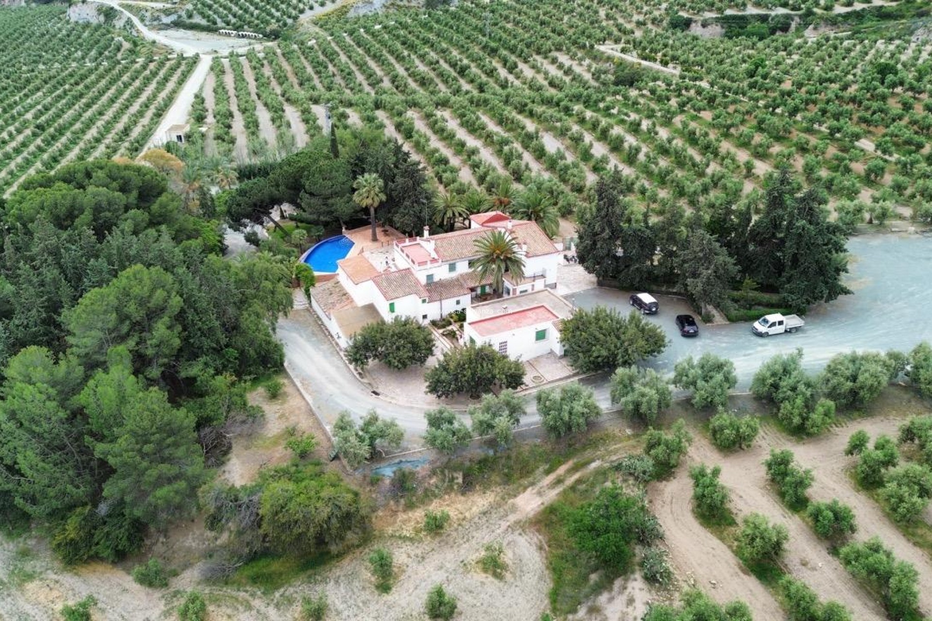 Wiederverkauf - Olivar - Puerto Lumbreras - Nogalte
