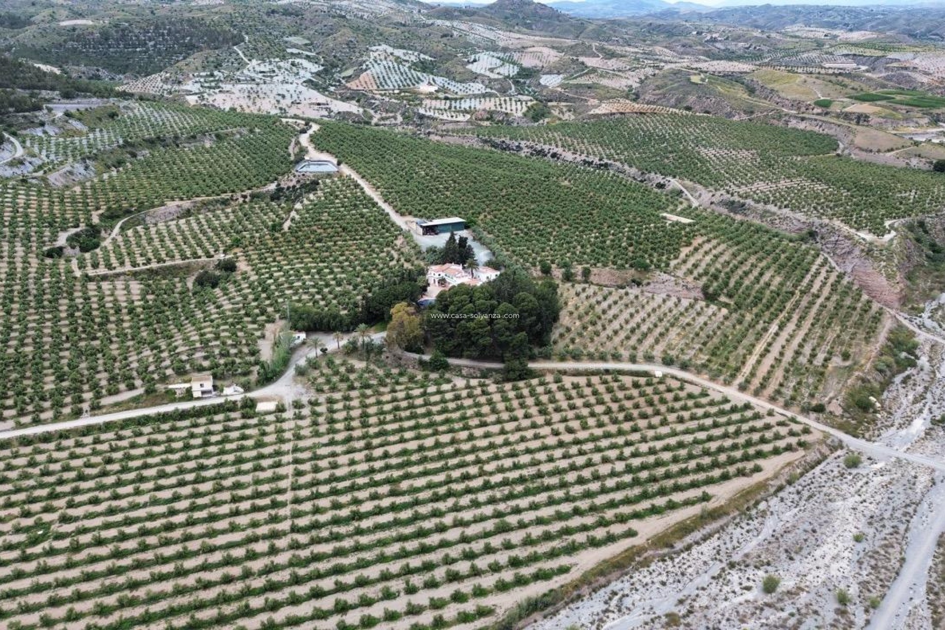 Wiederverkauf - Olivar - Puerto Lumbreras - Nogalte
