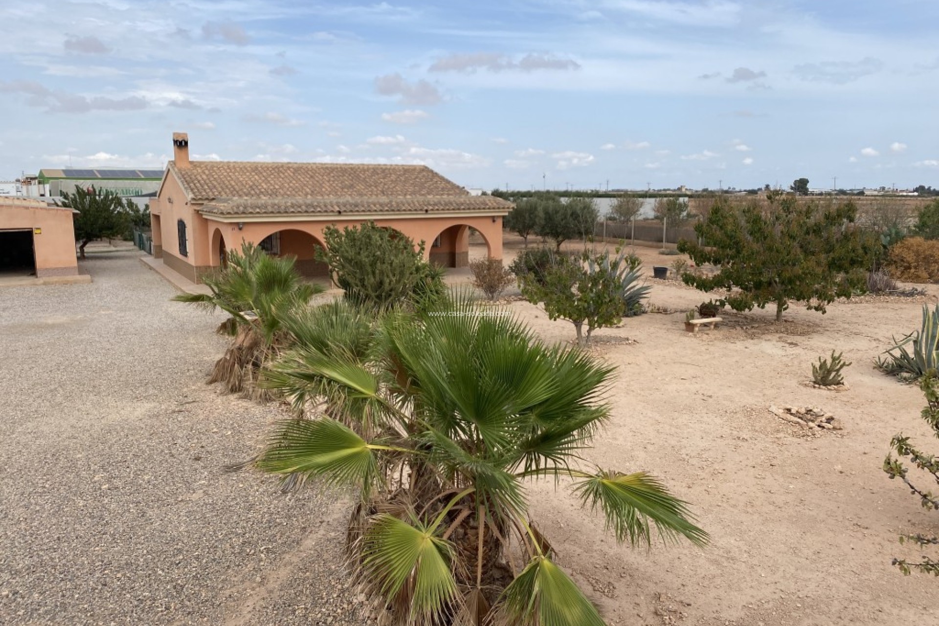 Wiederverkauf - Stadthaus - Fuente Alamo - Inland