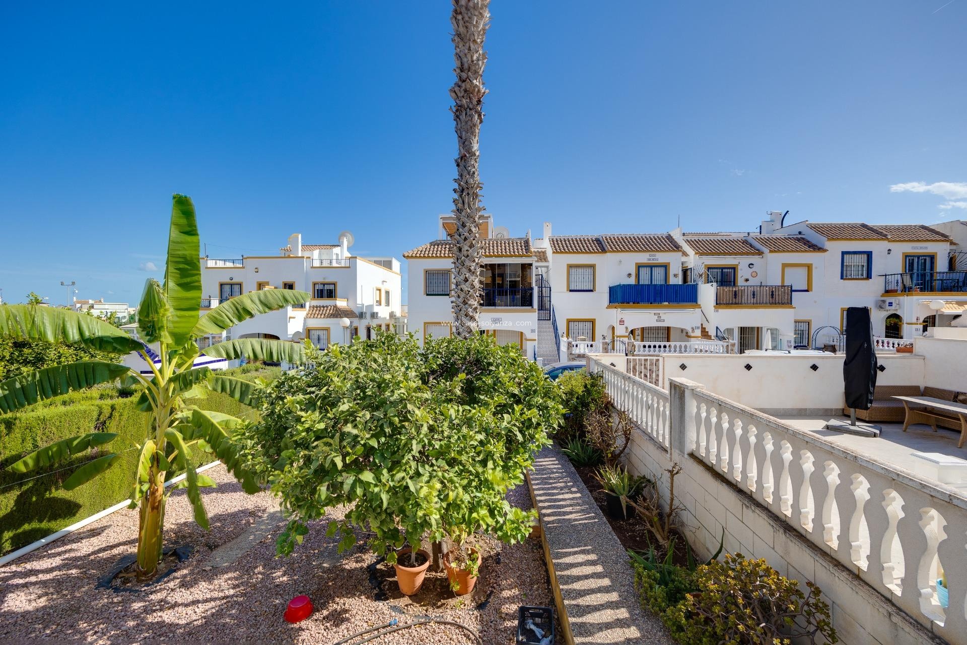 Wiederverkauf - Stadthaus - Orihuela Costa - La Florida