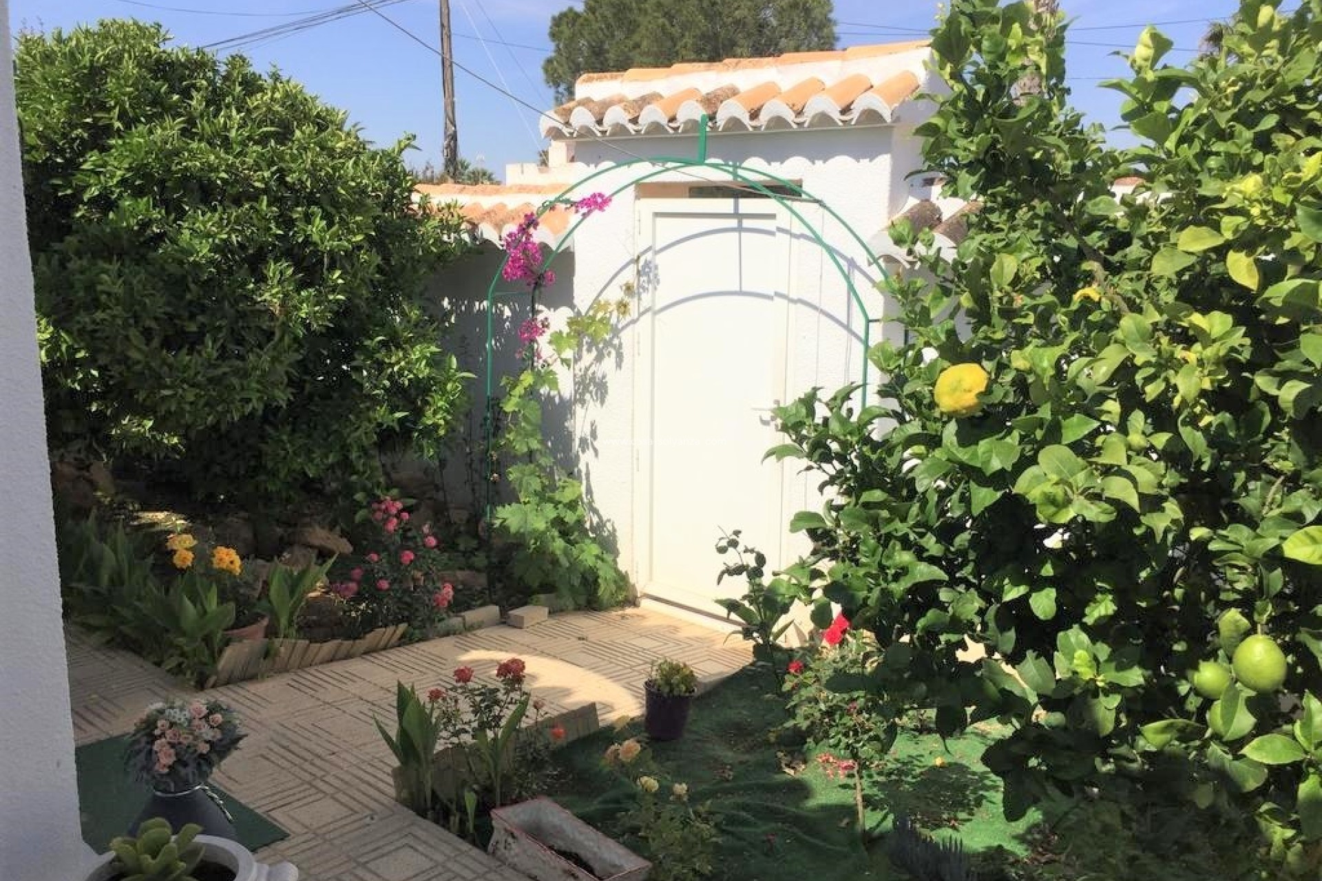 Wiederverkauf - Stadthaus - Torrevieja - Costa Blanca