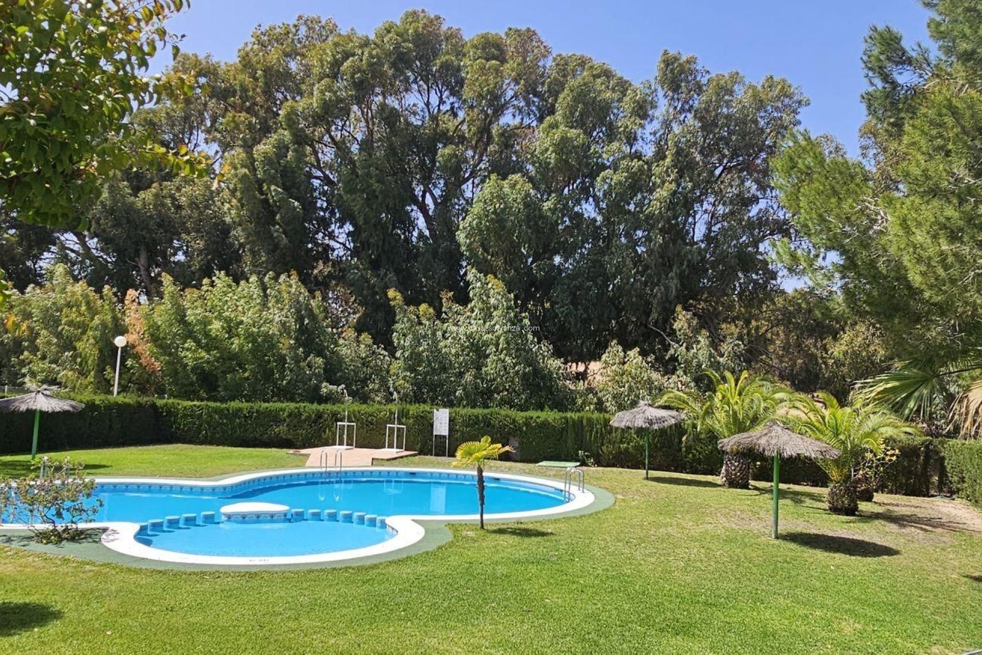 Wiederverkauf - Stadthaus - Torrevieja - La Siesta