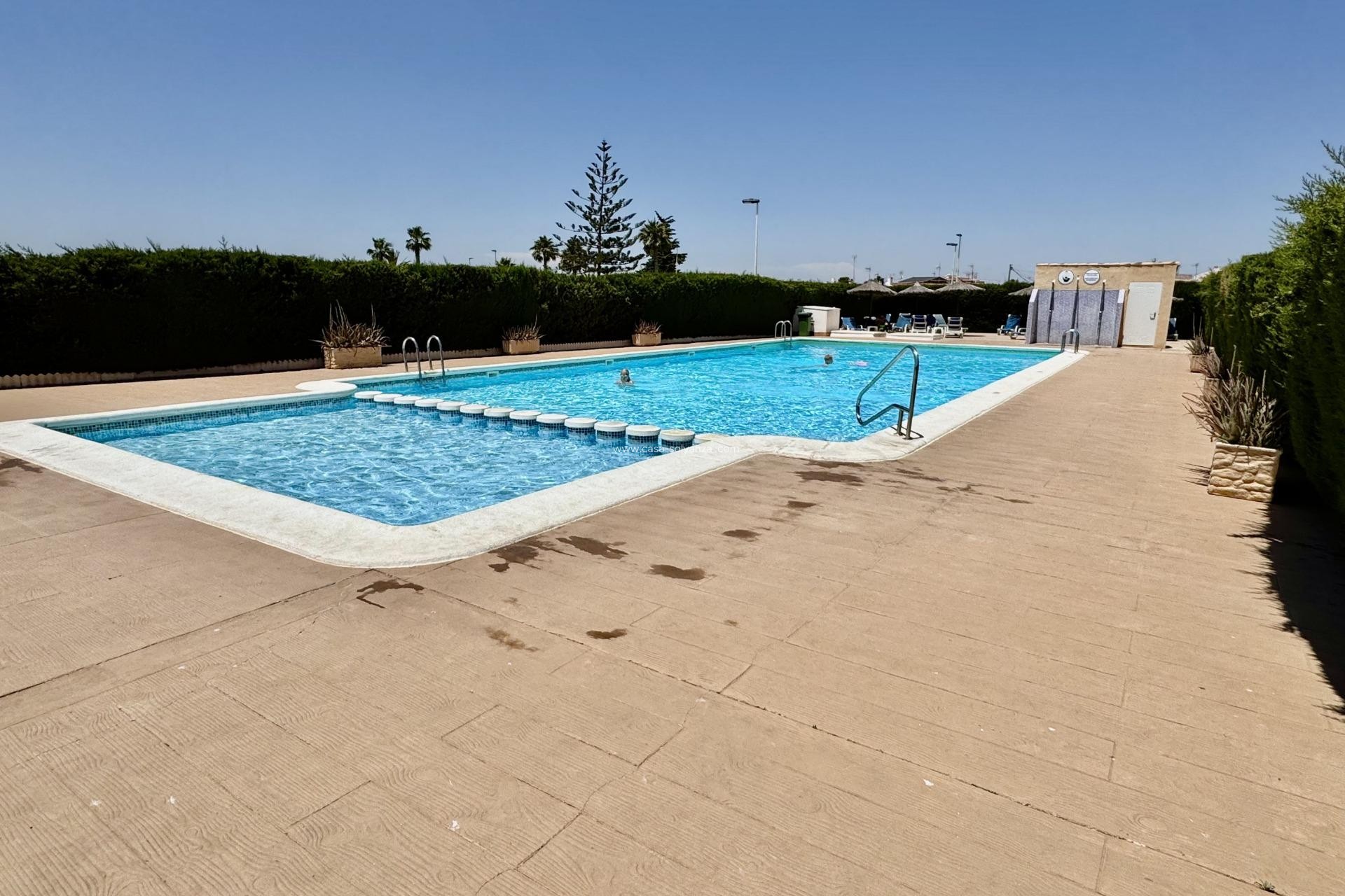 Wiederverkauf - Stadthaus - Torrevieja - La Siesta