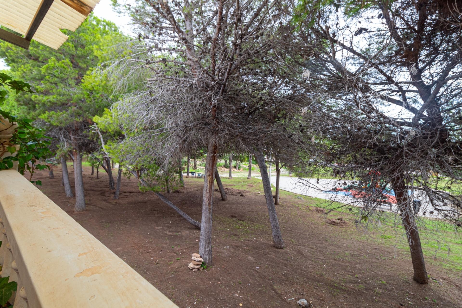 Wiederverkauf - Stadthaus - Torrevieja - Los altos