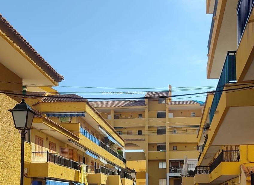 Wiederverkauf - Stadthaus - Torrevieja - Los Europeos