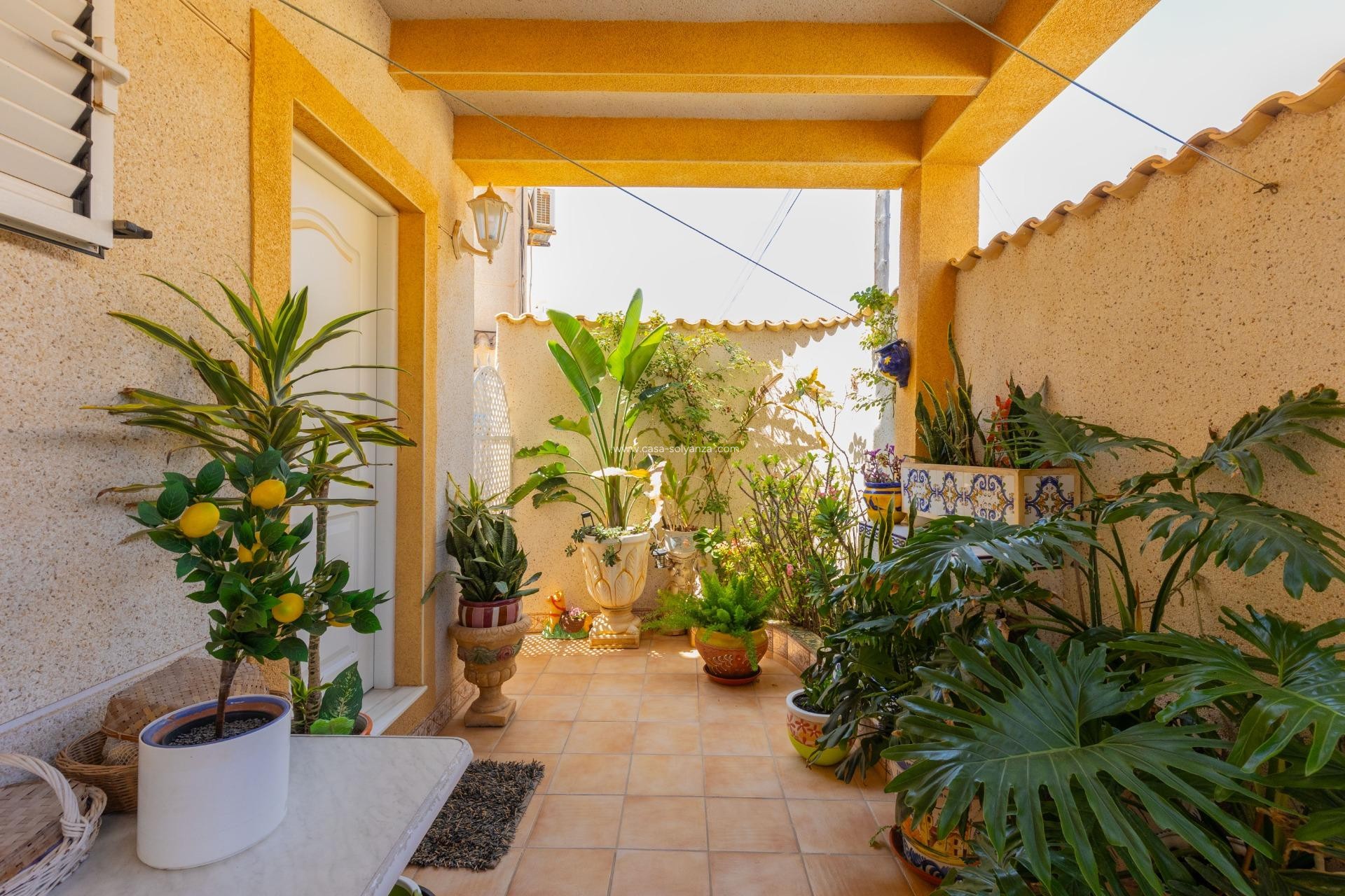 Wiederverkauf - Stadthaus - Torrevieja - Los Frutales