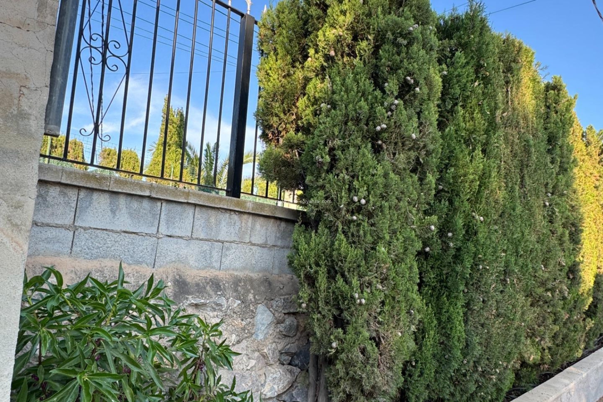 Wiederverkauf - Villa - Albatera - Partida Lomas