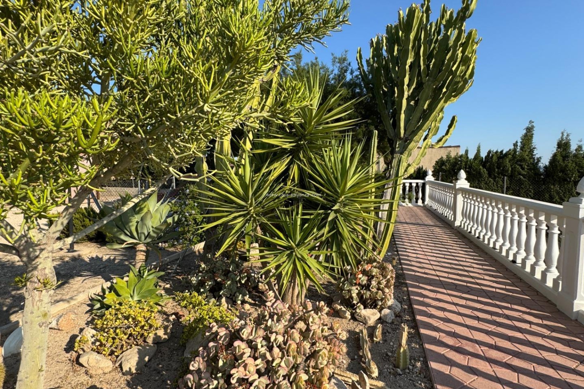 Wiederverkauf - Villa - Albatera - Partida Lomas