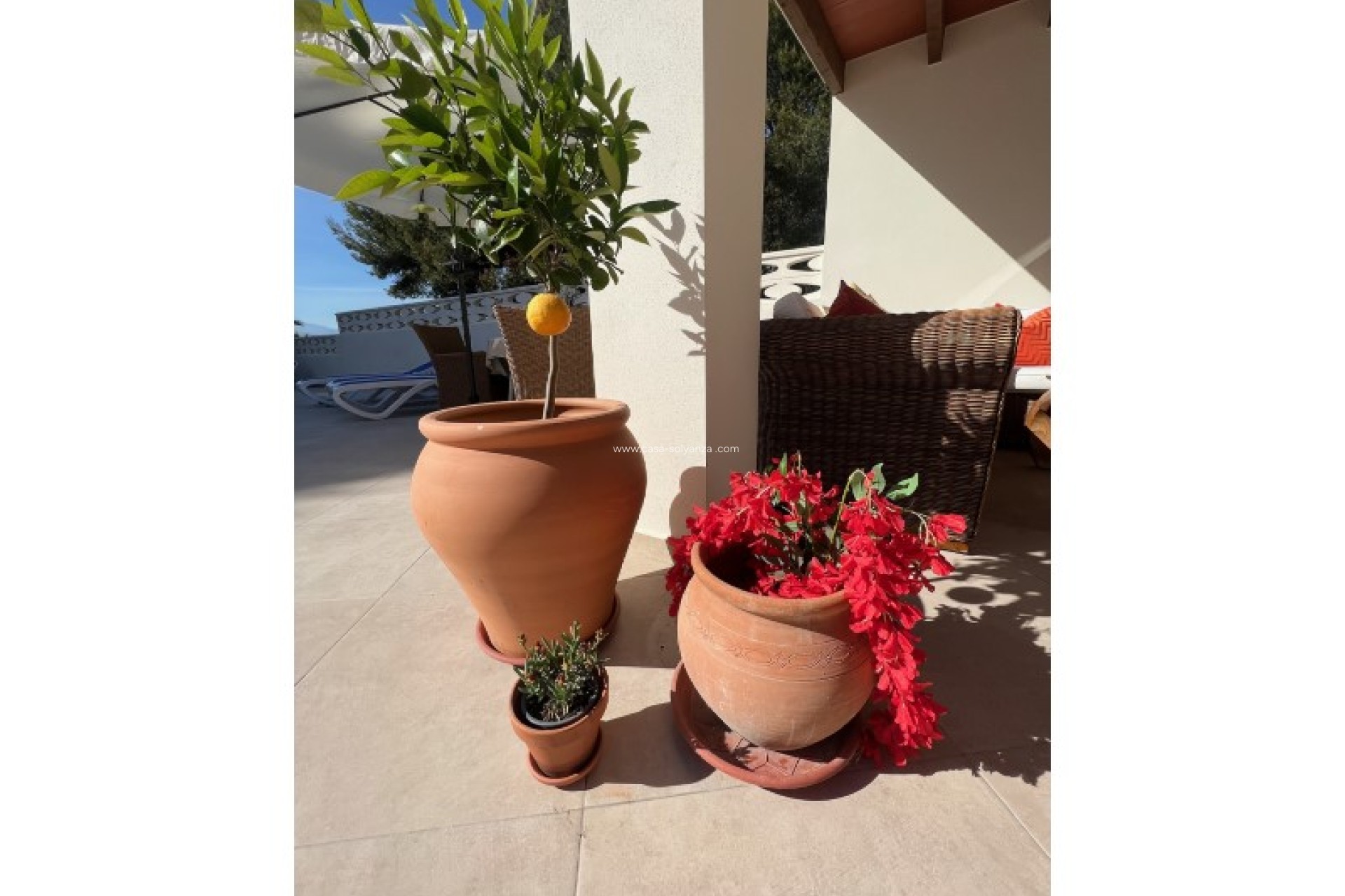 Wiederverkauf - Villa - Alfas del Pí - Costa Blanca