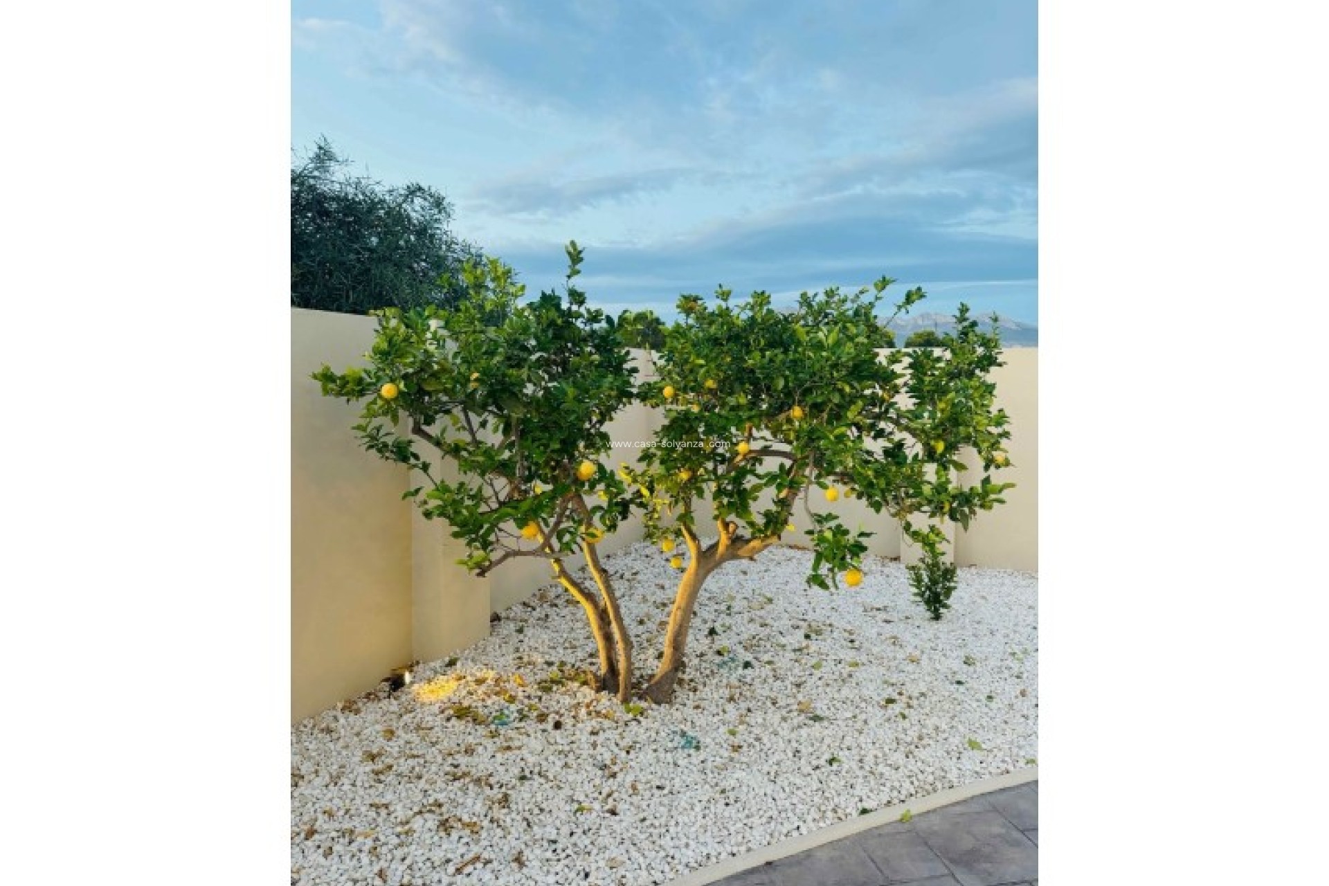 Wiederverkauf - Villa - Alfas del Pí - Costa Blanca