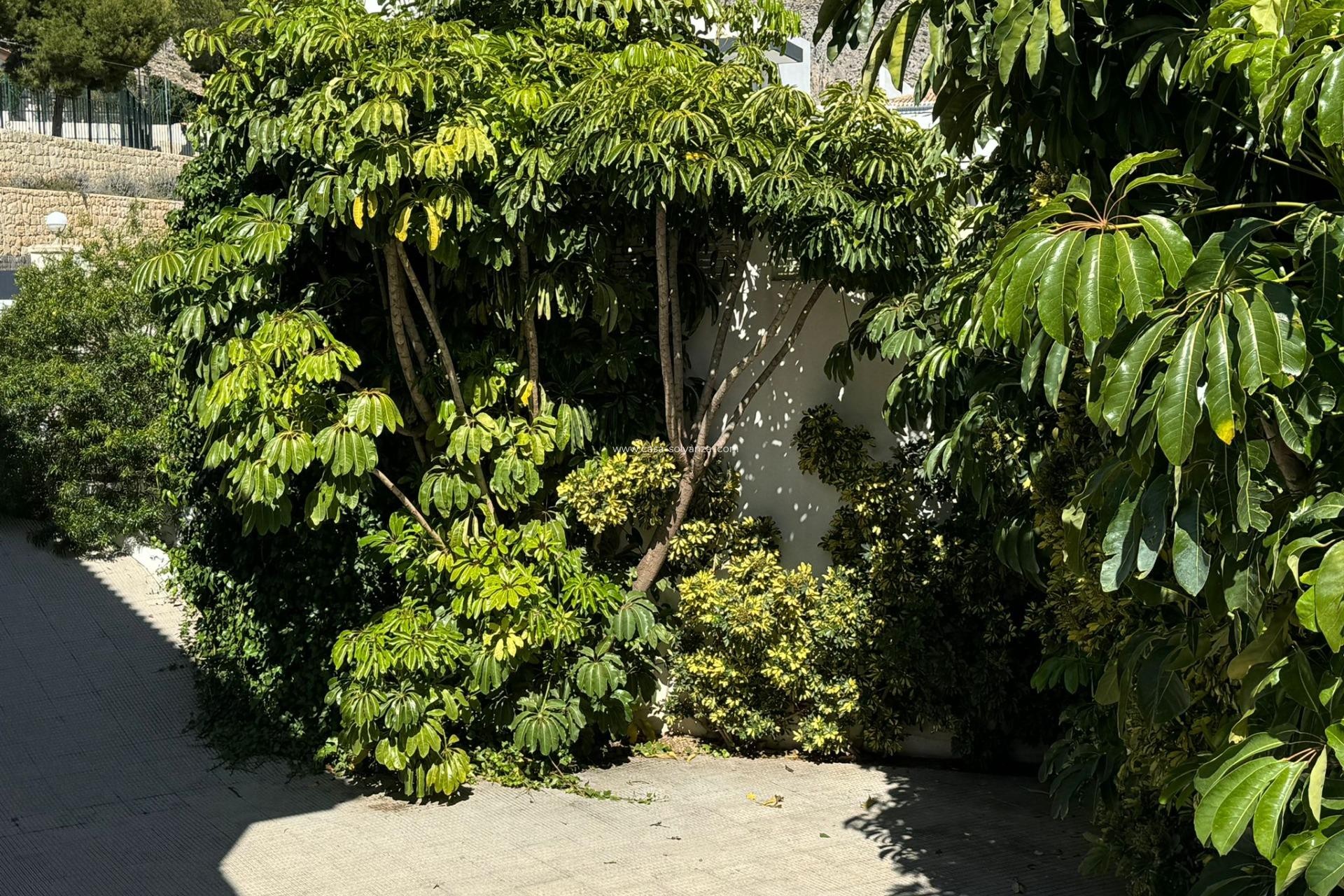 Wiederverkauf - Villa - Altea