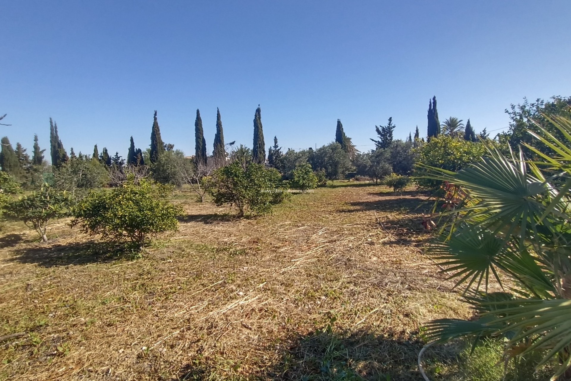 Wiederverkauf - Villa - Avileses - Inland