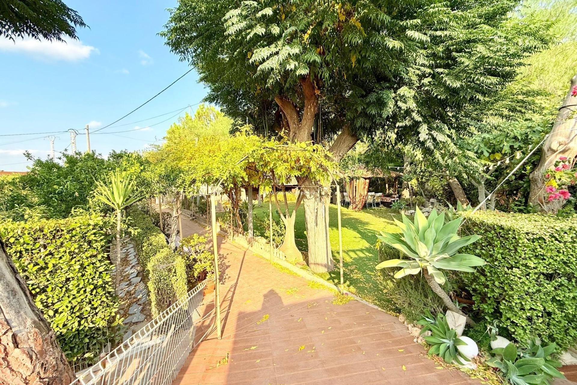 Wiederverkauf - Villa - Benferri