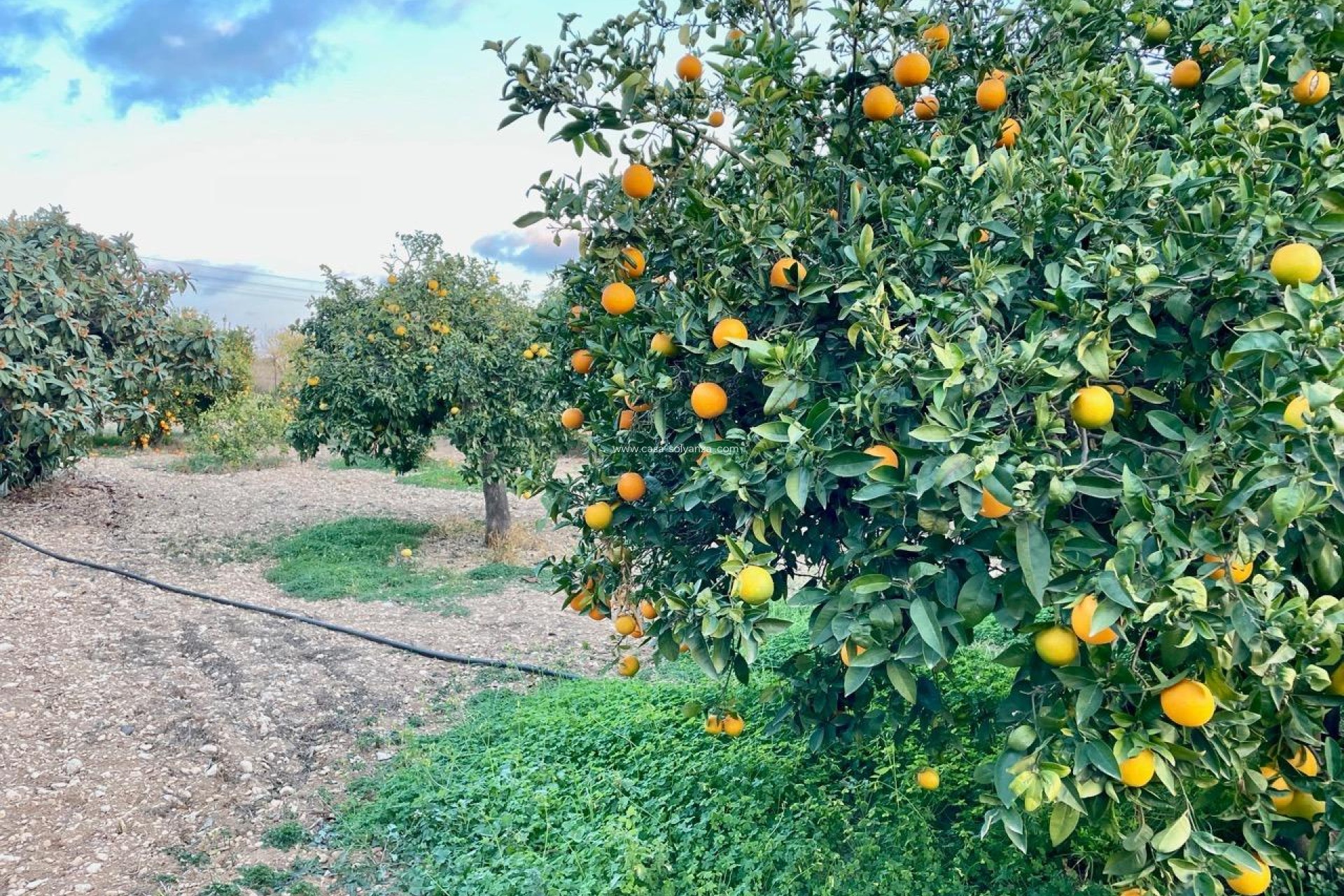 Wiederverkauf - Villa - Benidorm - Salto Del Agua