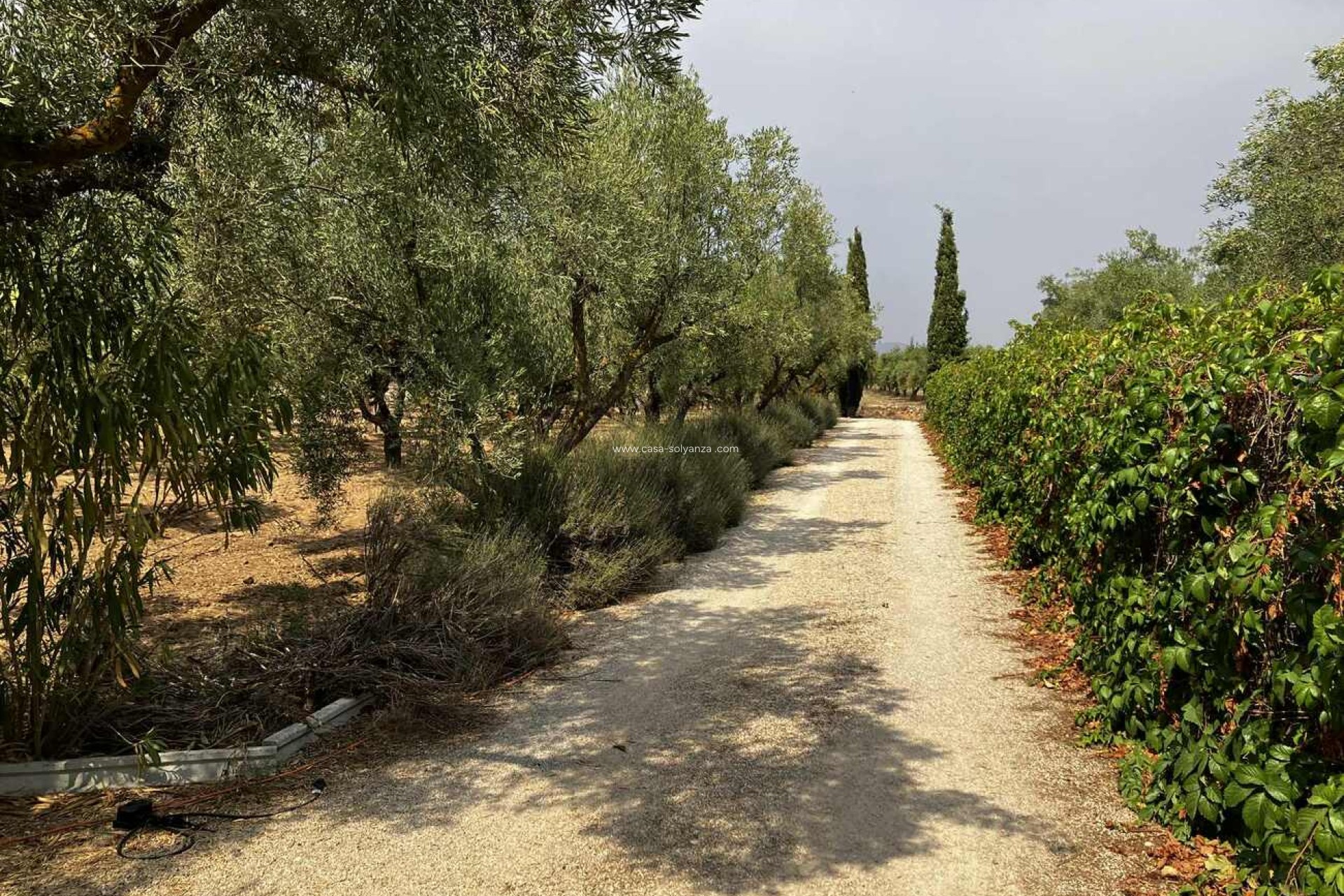 Wiederverkauf - Villa - Biar - Costa Blanca