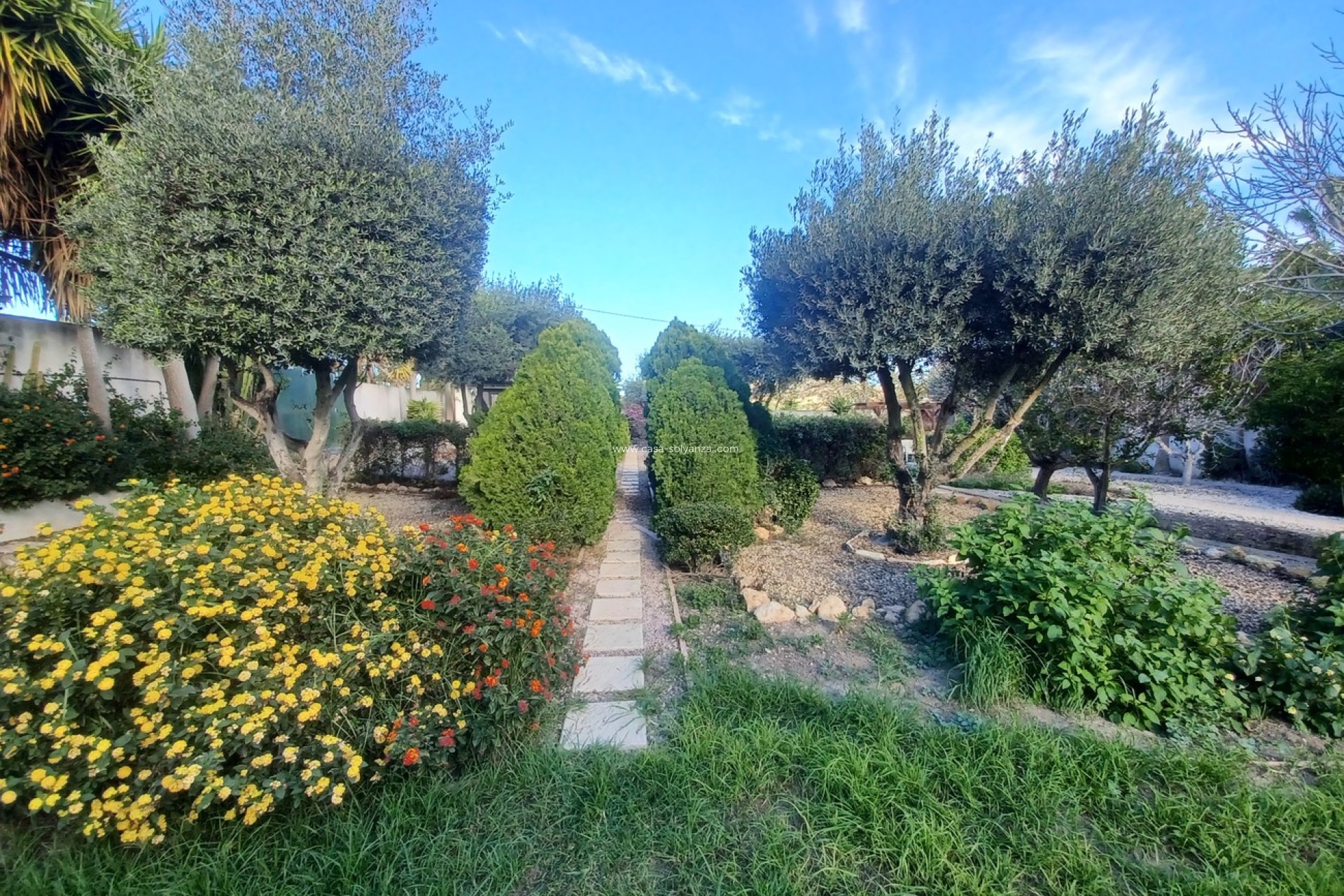 Wiederverkauf - Villa - Canadas De San Pedro - Inland