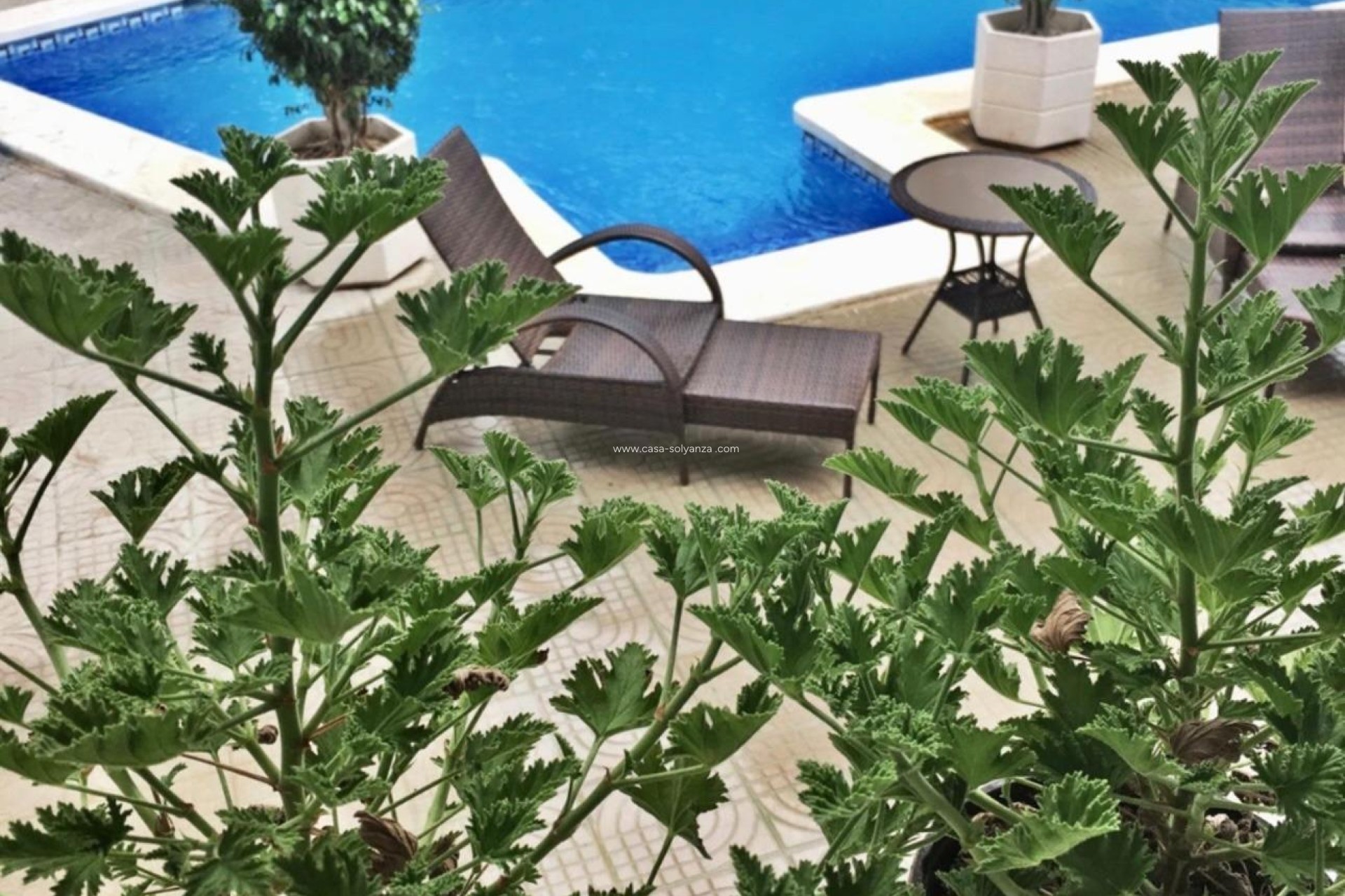 Wiederverkauf - Villa - Ciudad Quesada