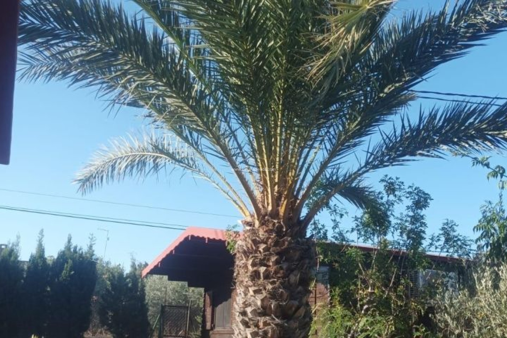 Wiederverkauf - Villa - Elche - Costa Blanca