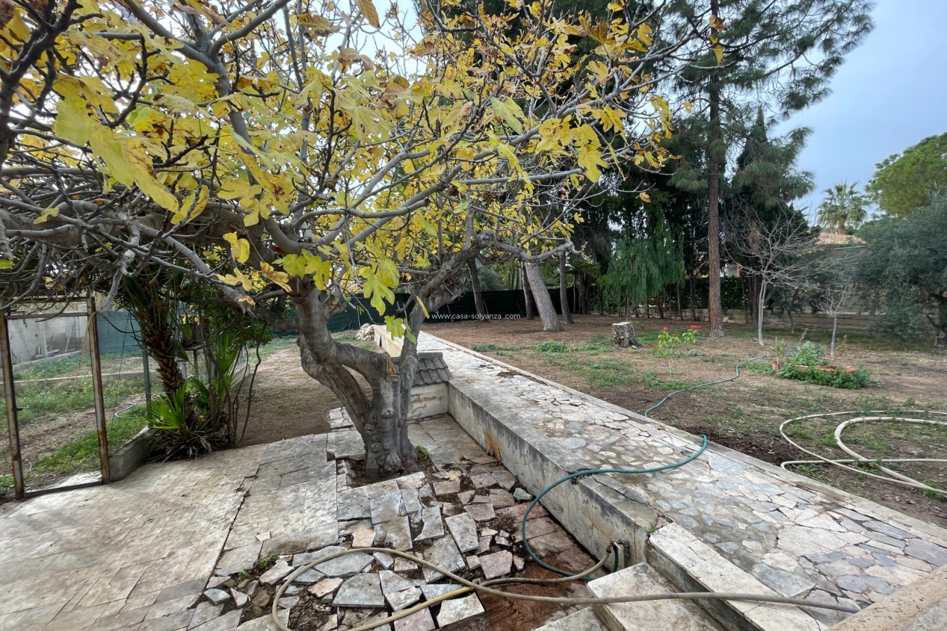 Wiederverkauf - Villa - Elche - Costa Blanca