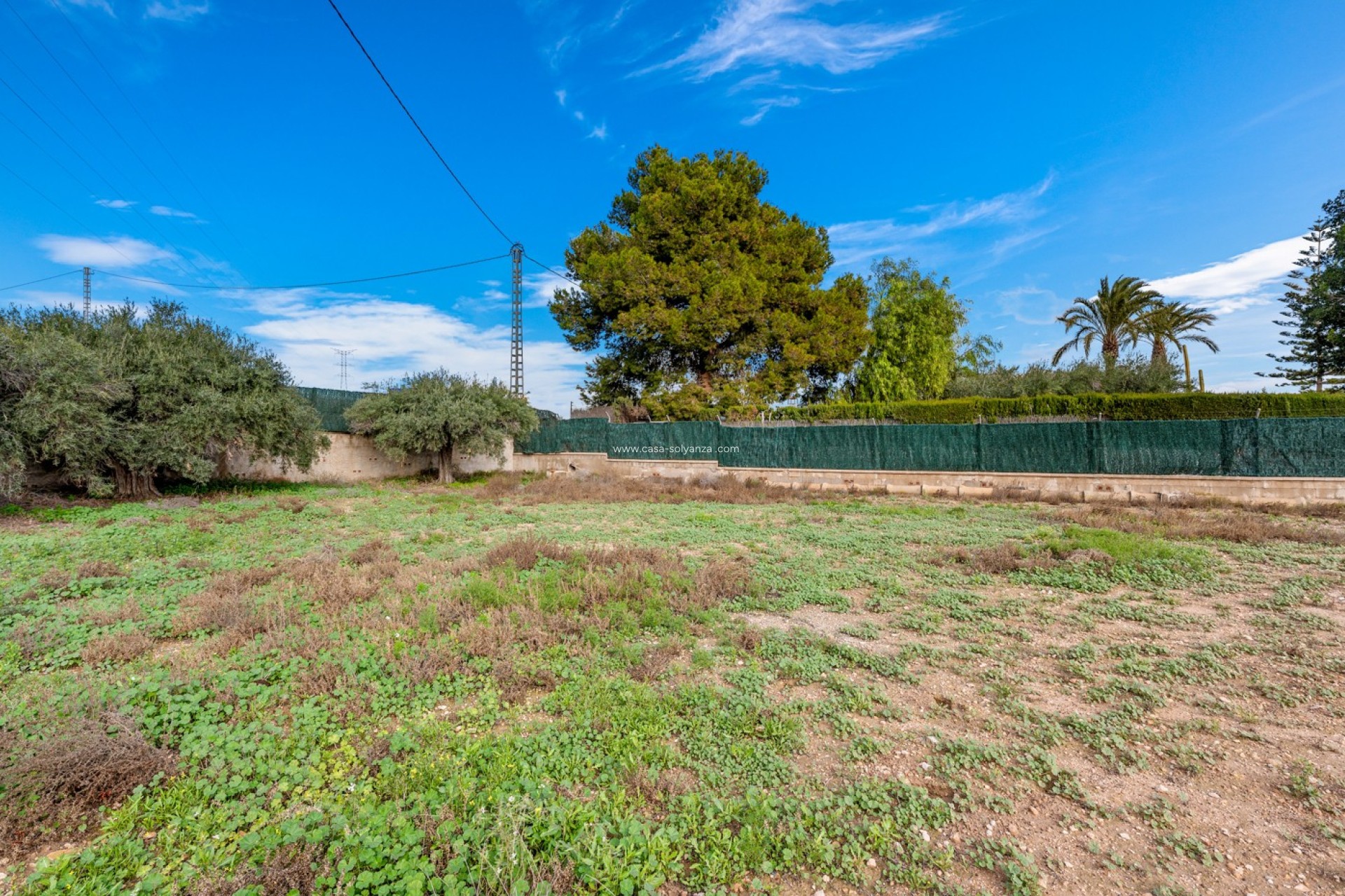 Wiederverkauf - Villa - Elche/Elx