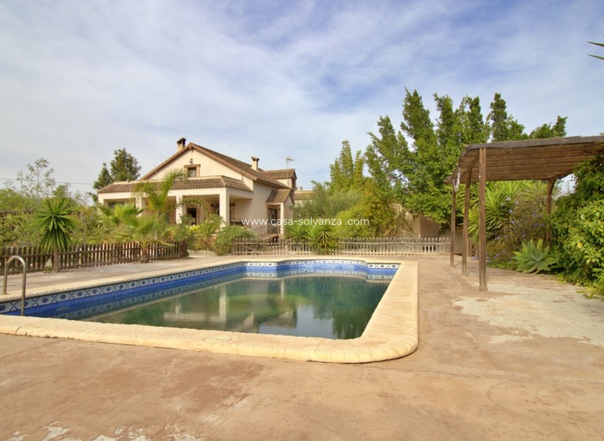 Wiederverkauf - Villa - Elche - Valverde