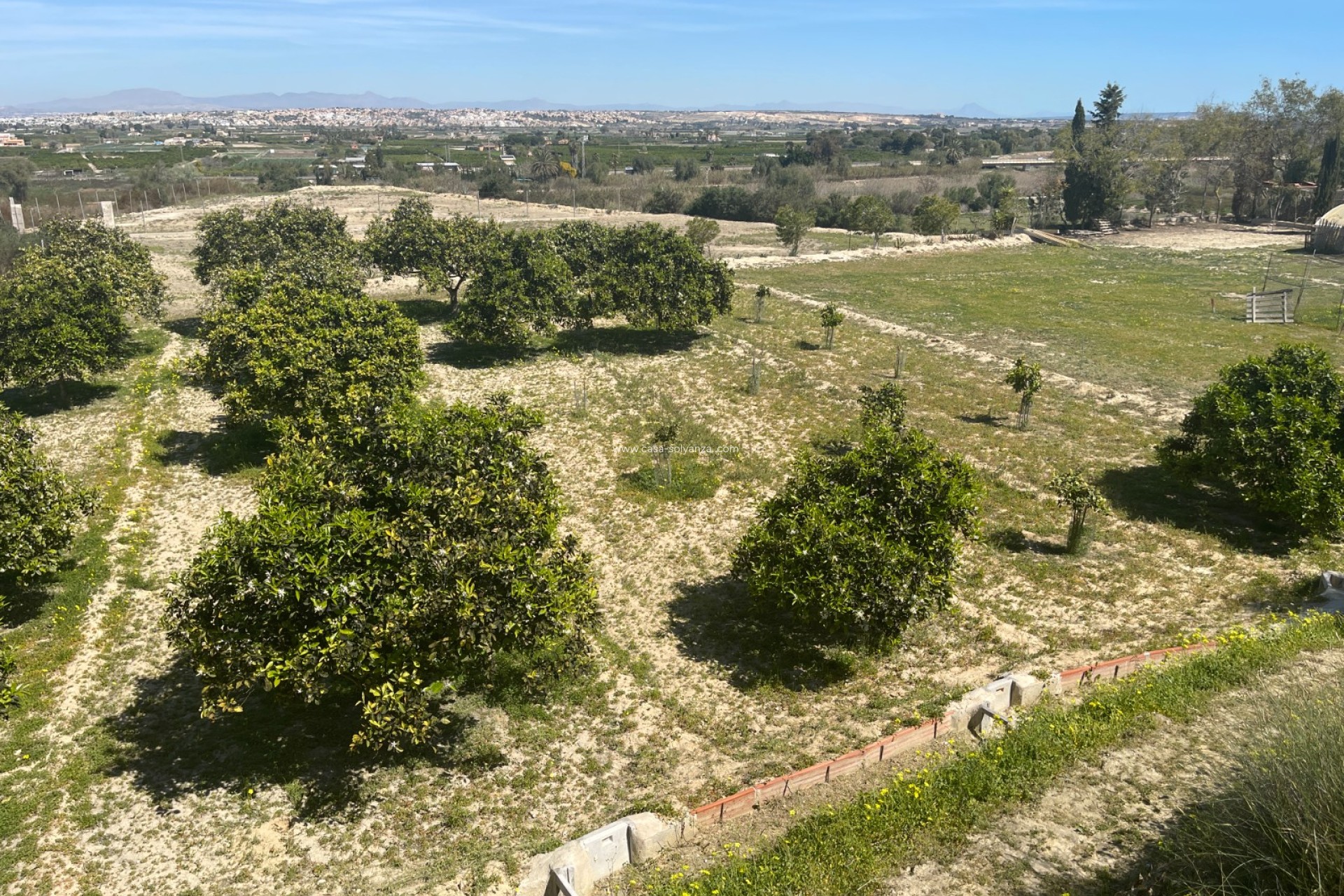 Wiederverkauf - Villa - Guardamar del Segura - Costa Blanca