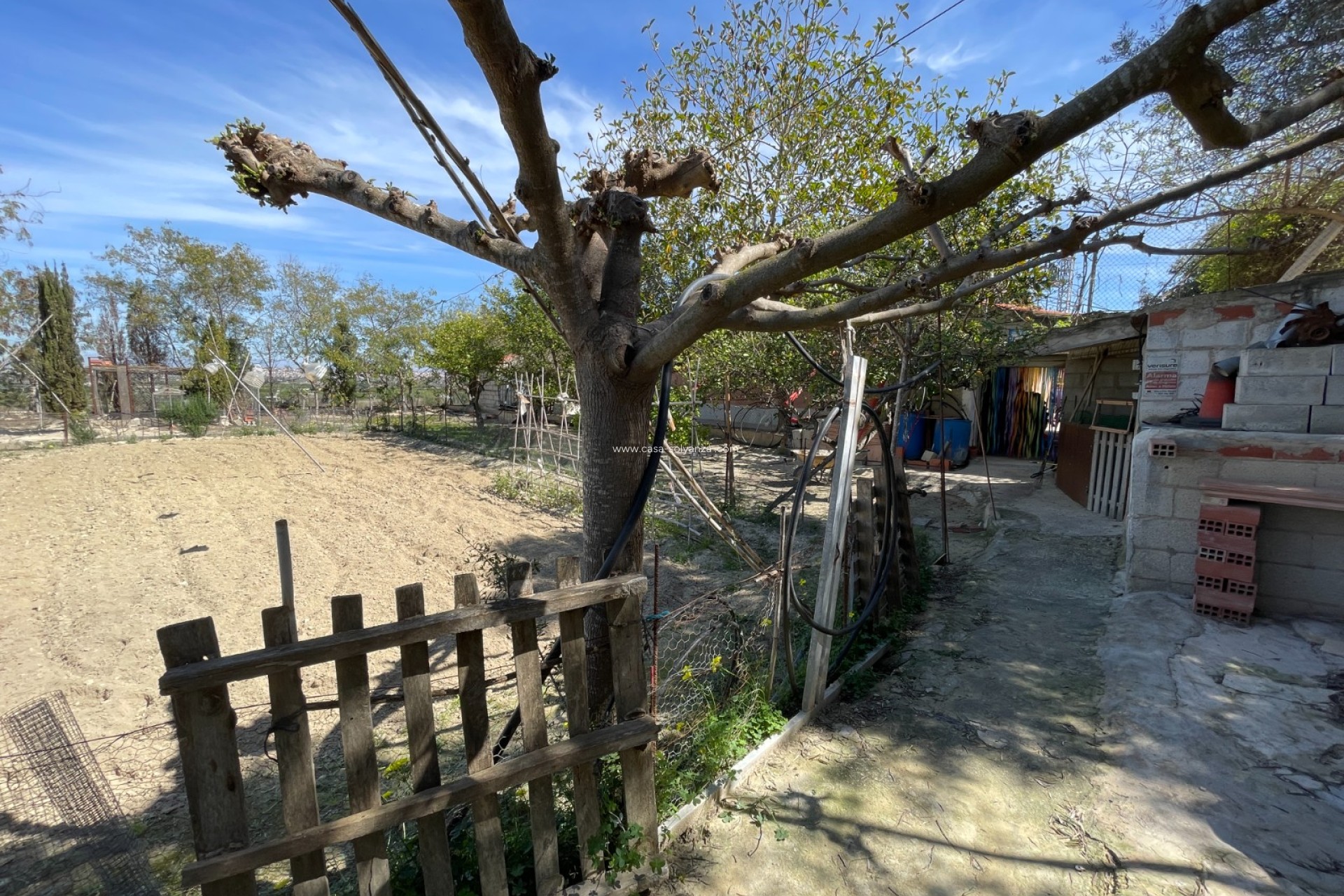 Wiederverkauf - Villa - Guardamar del Segura - Costa Blanca