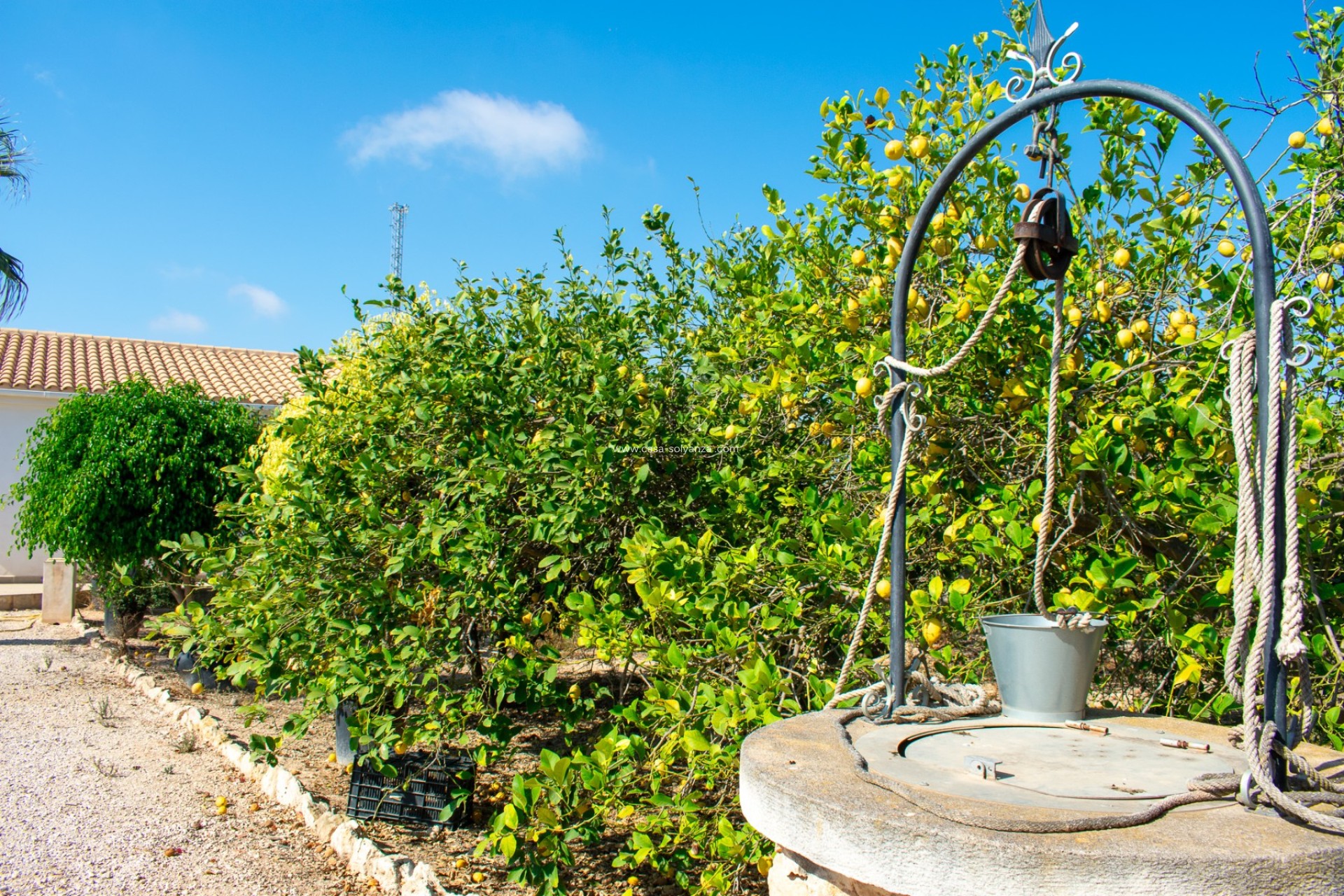 Wiederverkauf - Villa - Guardamar del Segura - El Raso