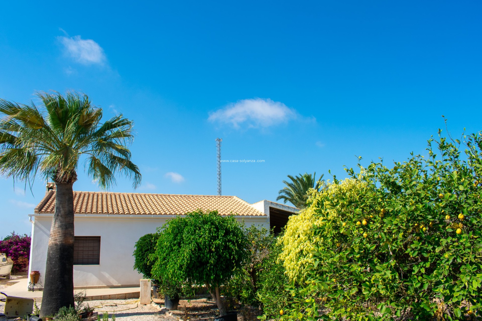 Wiederverkauf - Villa - Guardamar del Segura - El Raso