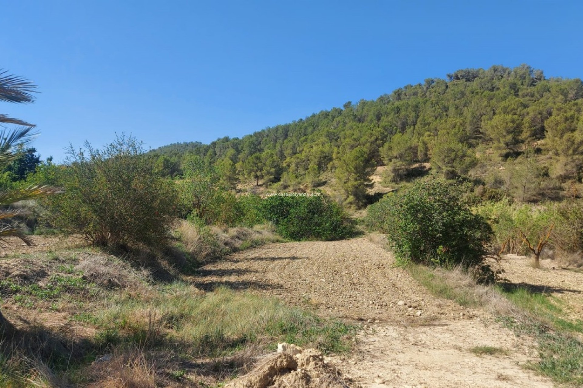 Wiederverkauf - Villa - Jumilla - Inland