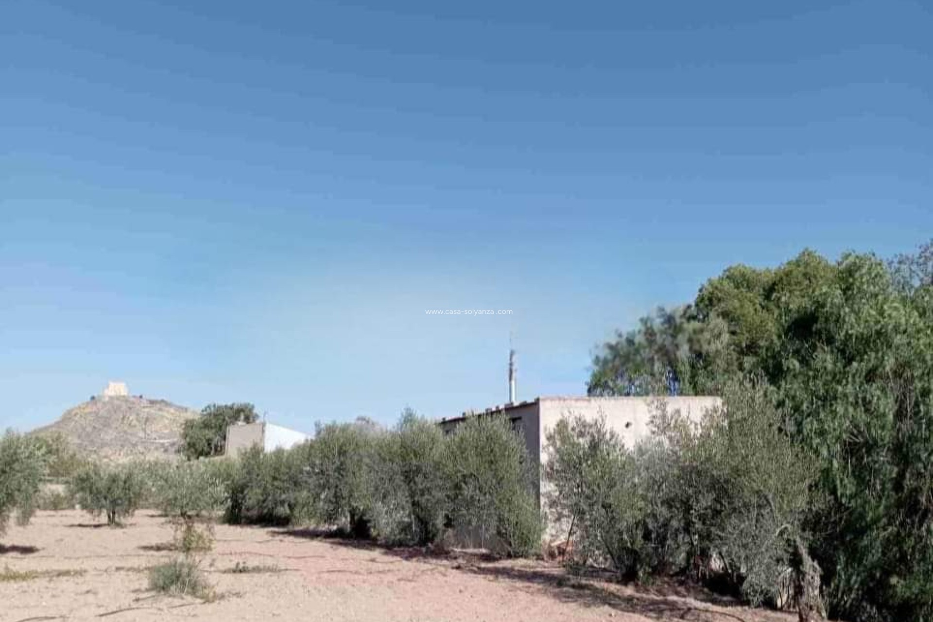 Wiederverkauf - Villa - Jumilla - Inland