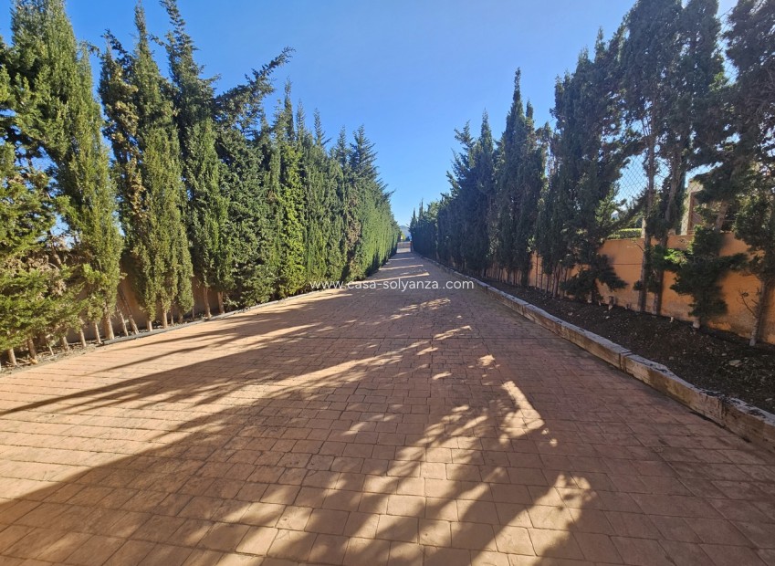 Wiederverkauf - Villa - La Manga del Mar Menor