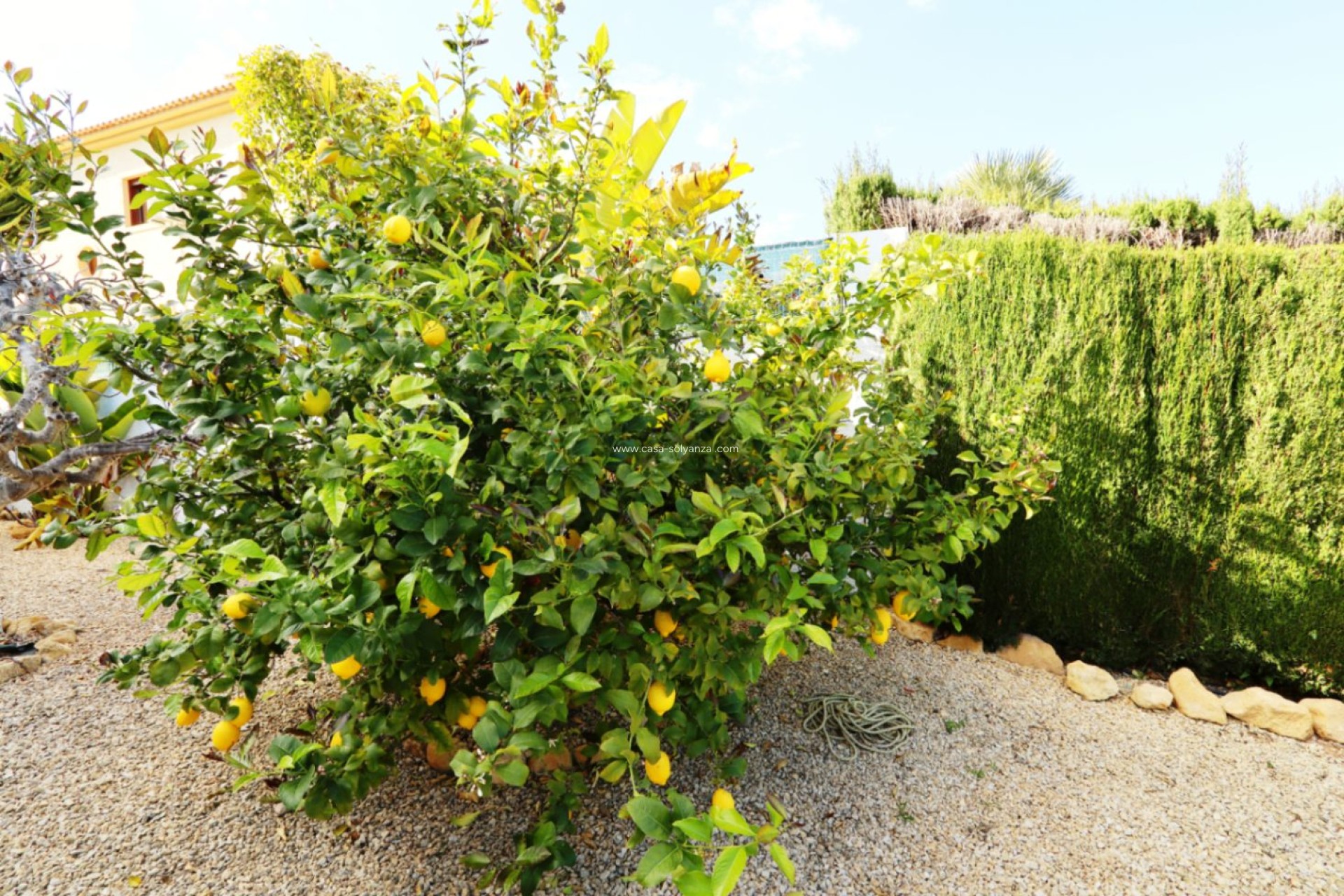 Wiederverkauf - Villa - La Nucía - Costa Blanca