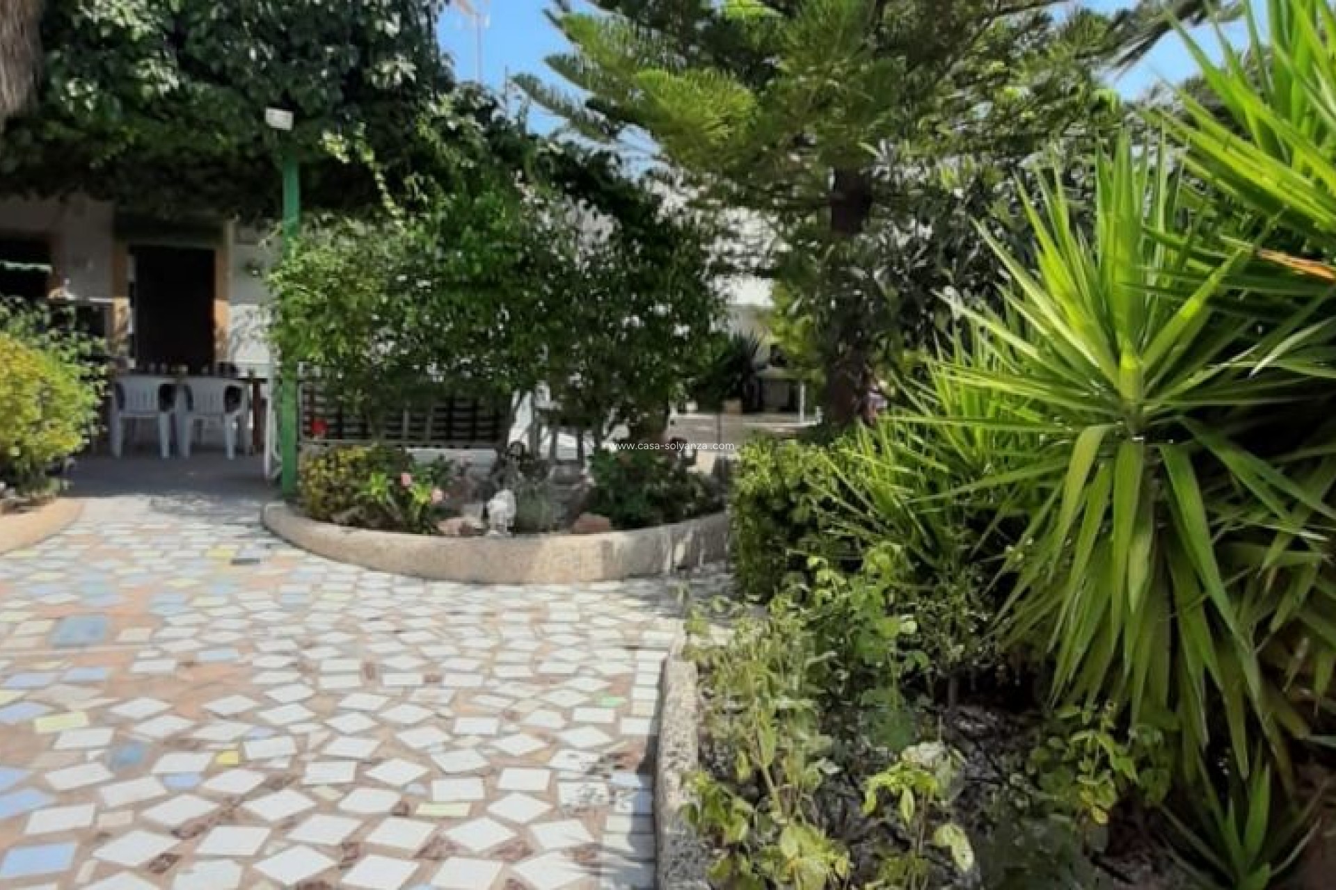 Wiederverkauf - Villa - Macisvenda - Inland