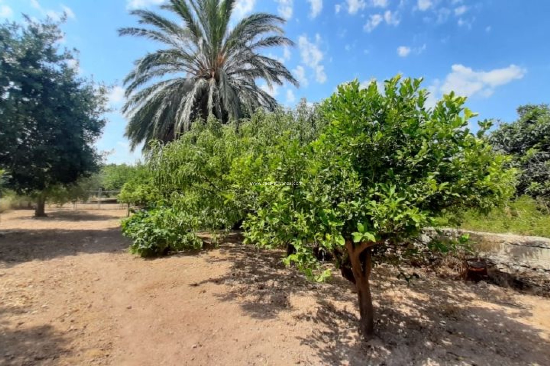Wiederverkauf - Villa - Macisvenda - Inland