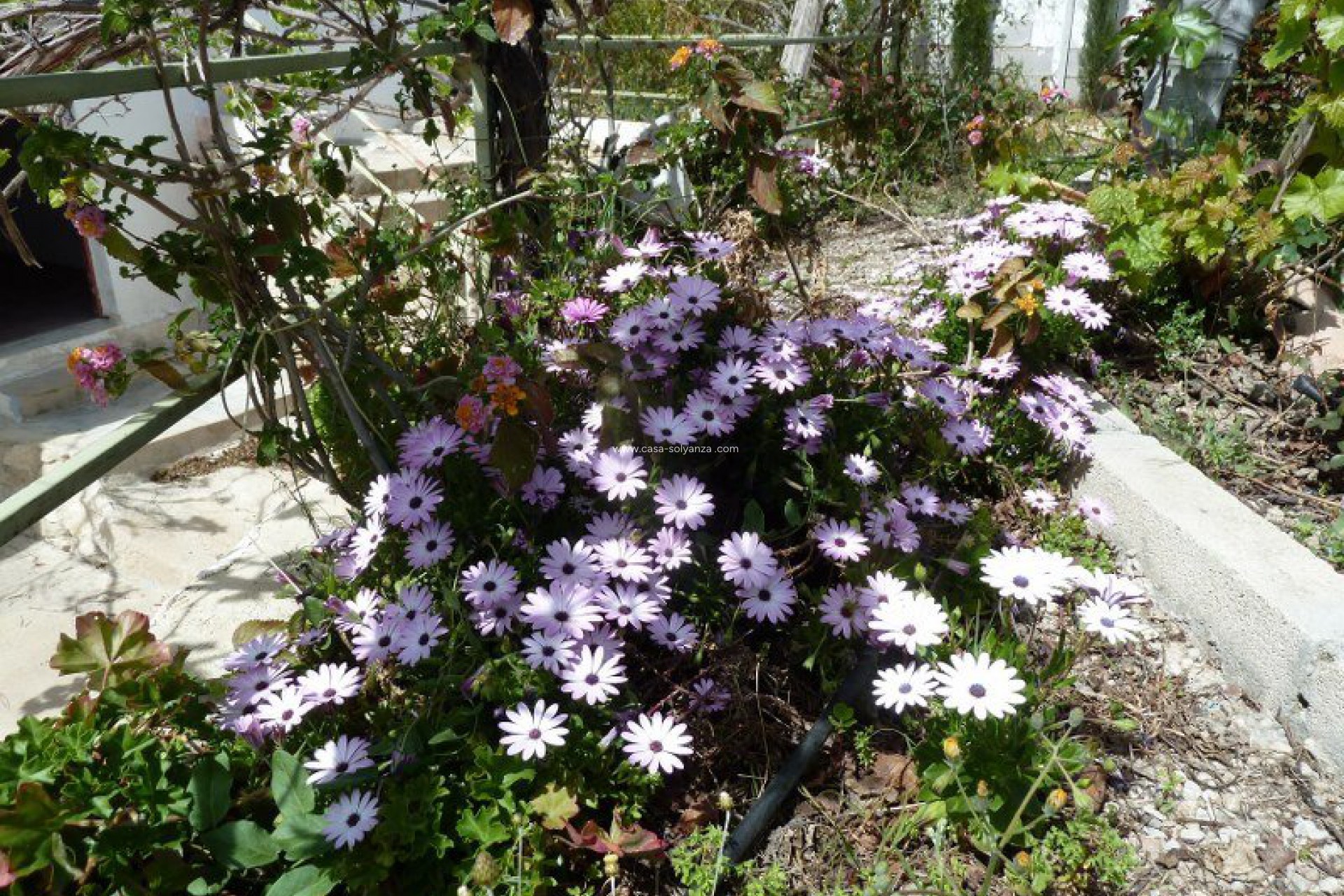 Wiederverkauf - Villa - Murcia