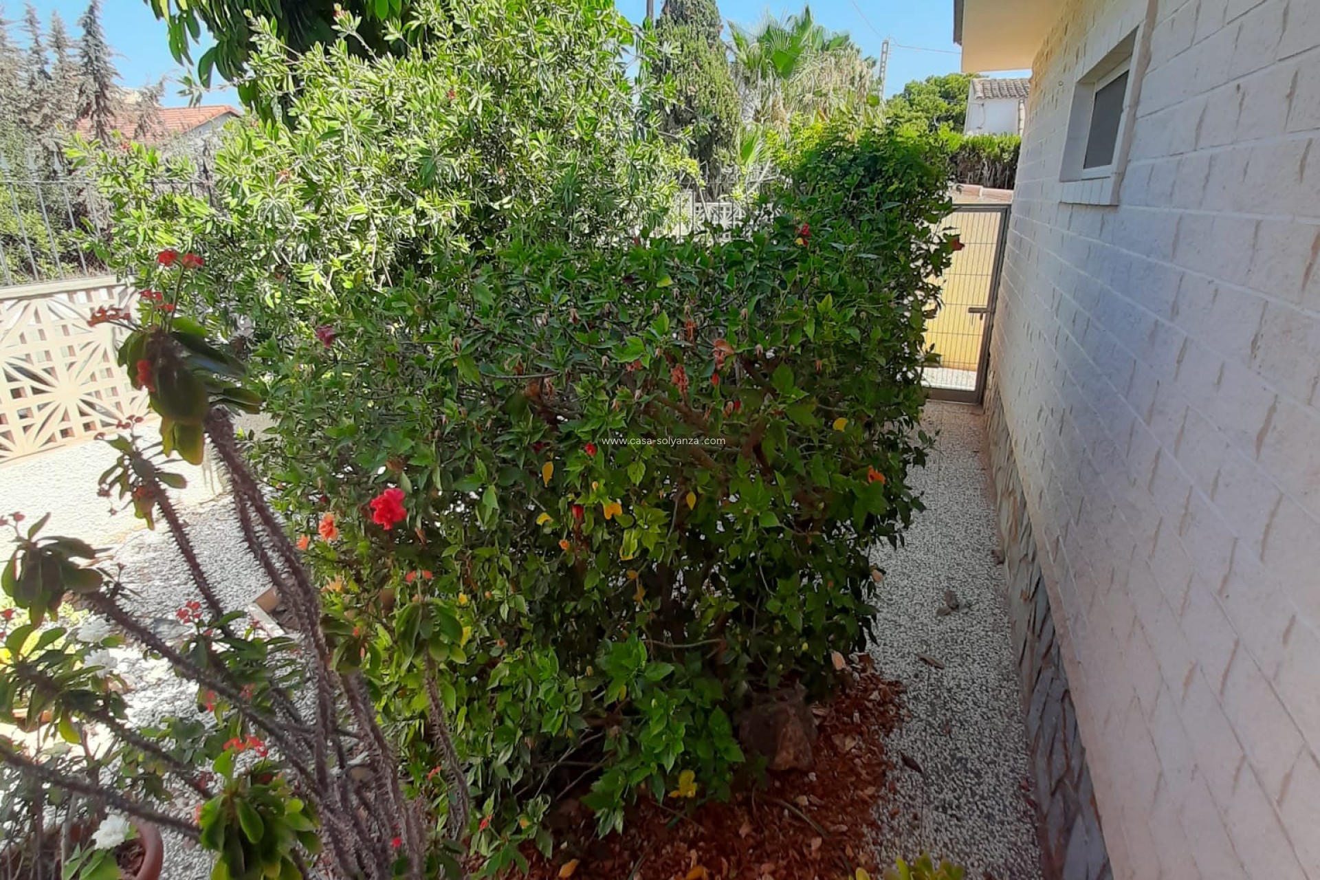 Wiederverkauf - Villa - Orihuela Costa - Costa Blanca