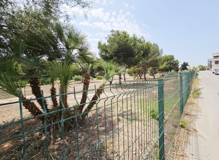 Wiederverkauf - Villa - Orihuela Costa - La Regia