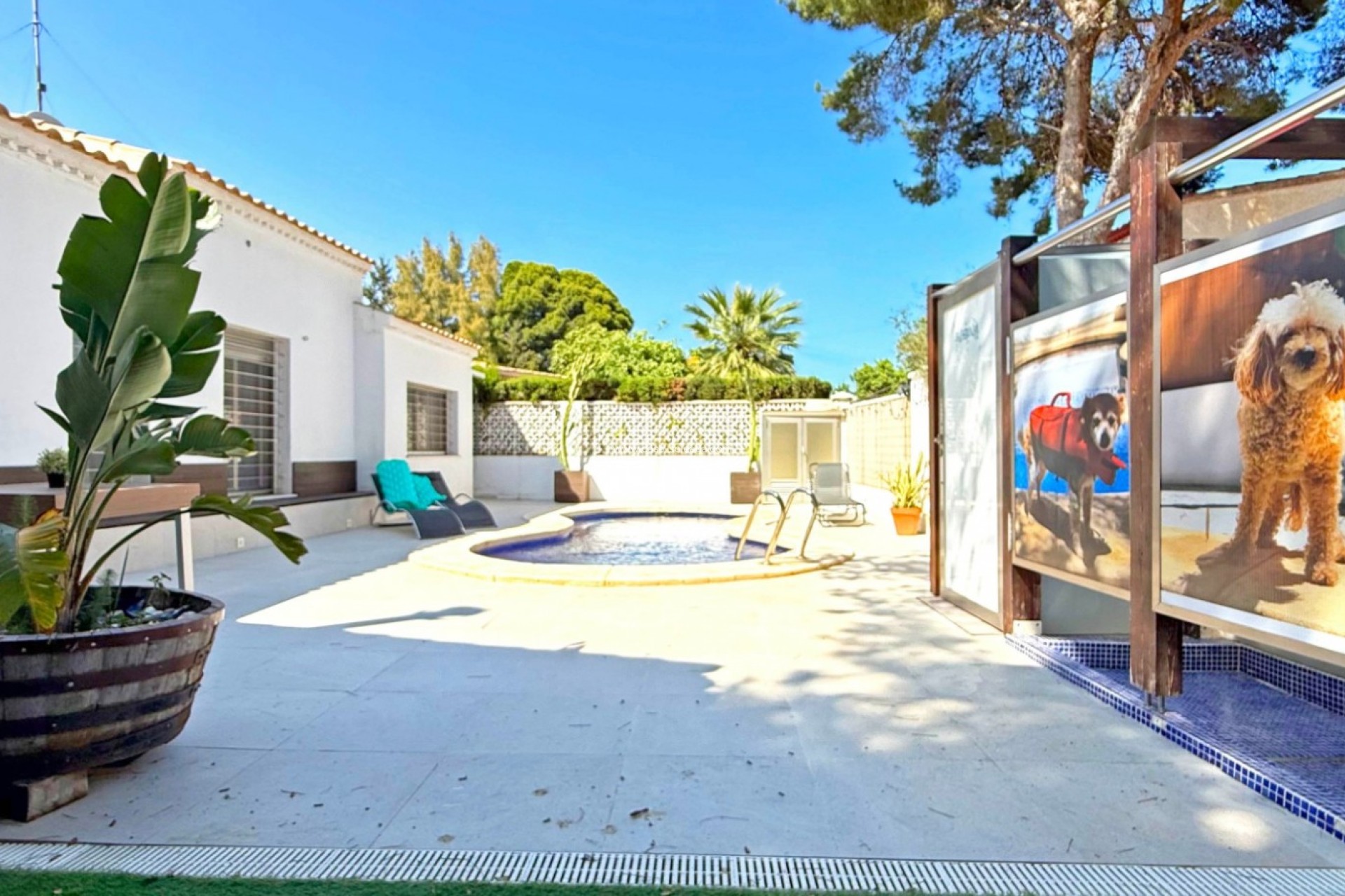 Wiederverkauf - Villa - Orihuela Costa - Punta Prima