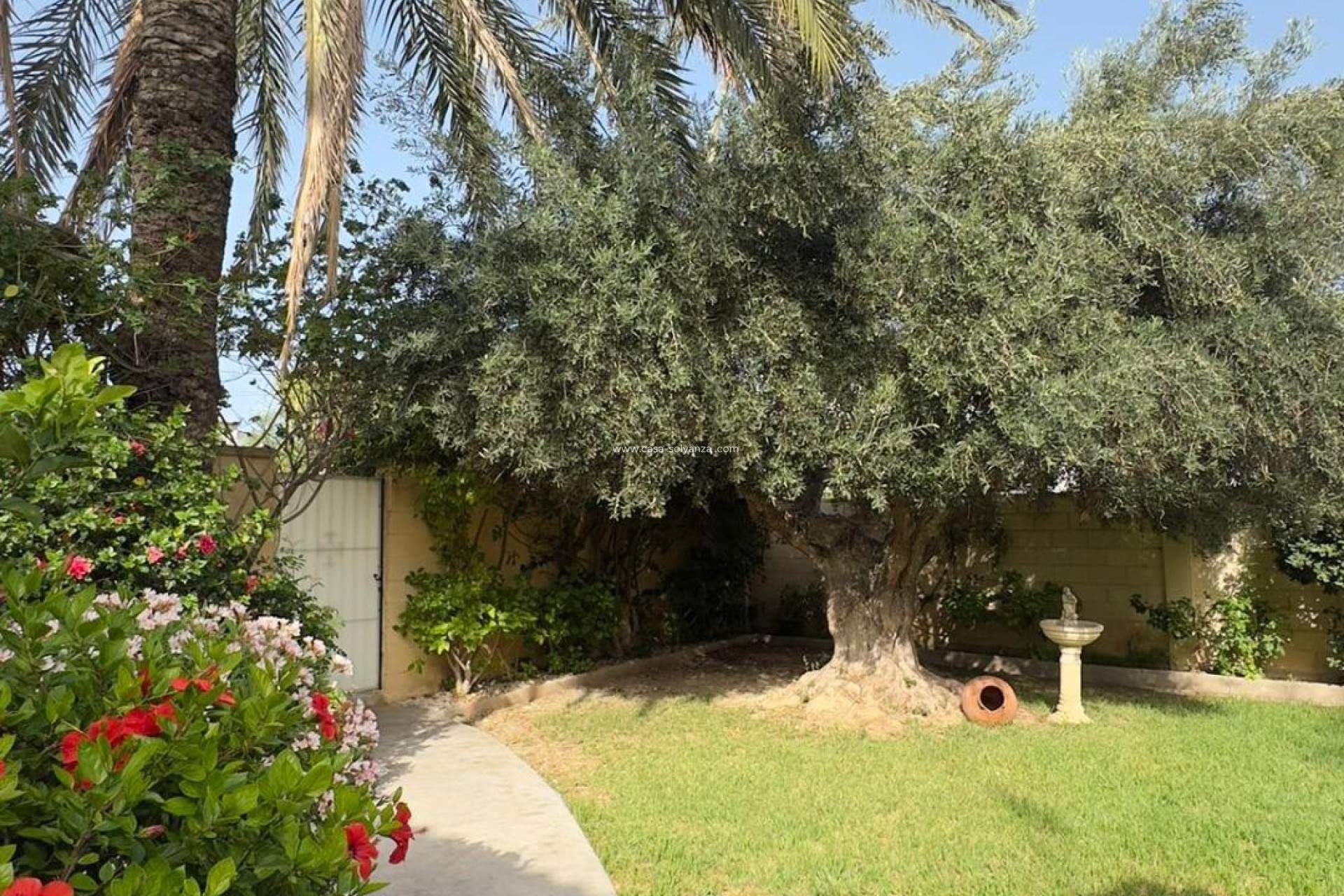 Wiederverkauf - Villa - Orihuela Costa - Punta Prima