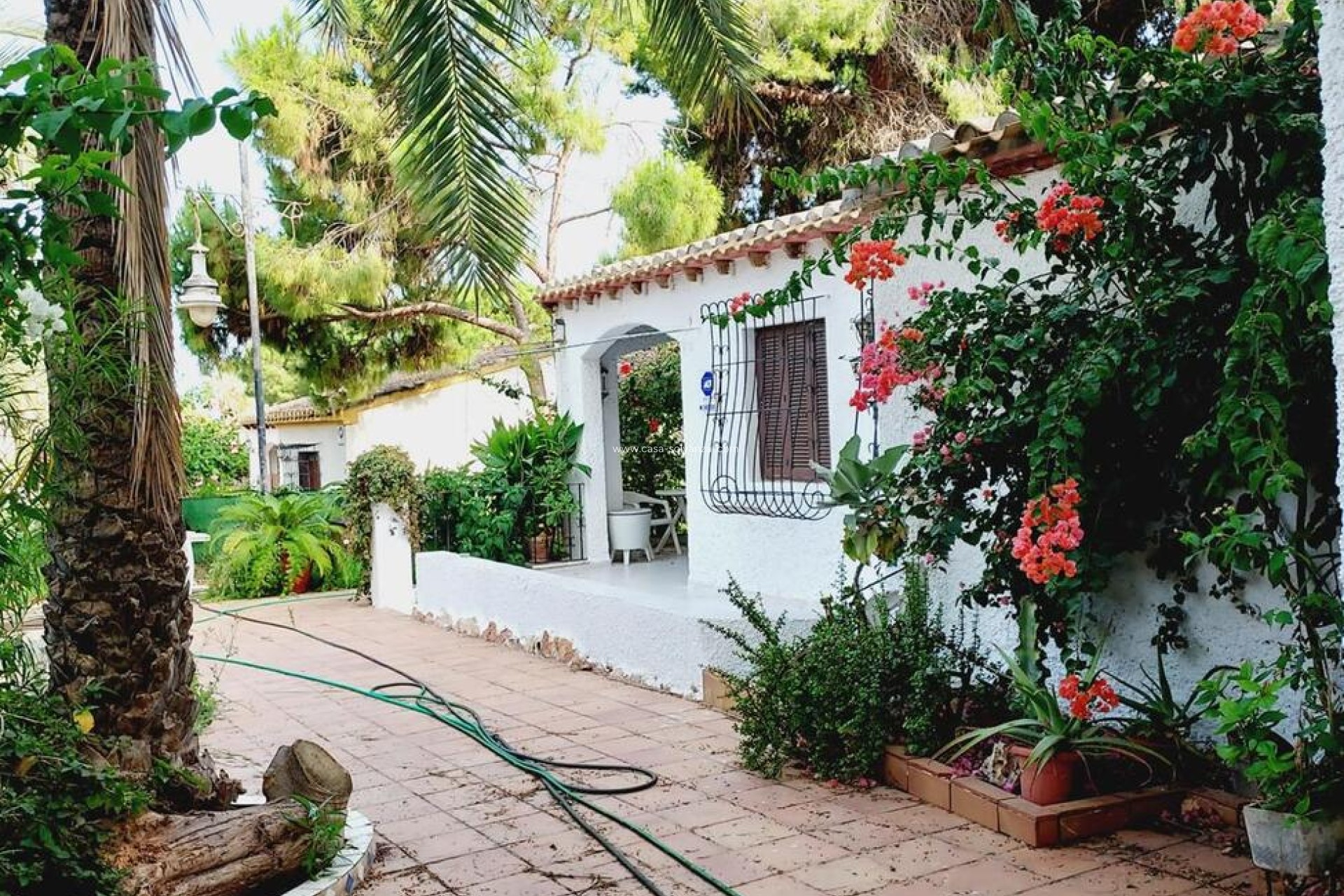 Wiederverkauf - Villa - Orihuela Costa - Punta Prima