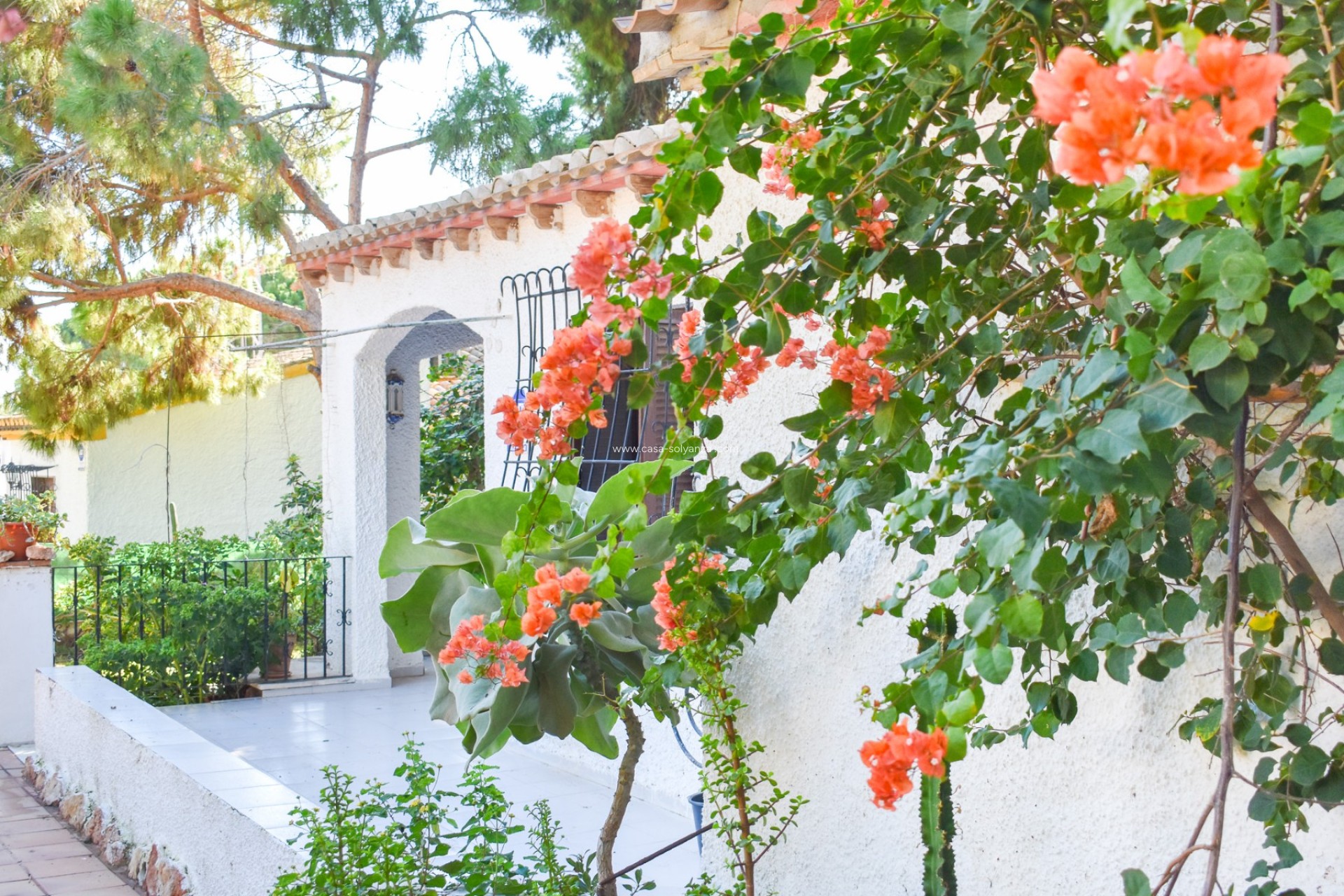 Wiederverkauf - Villa - Orihuela Costa - Punta Prima