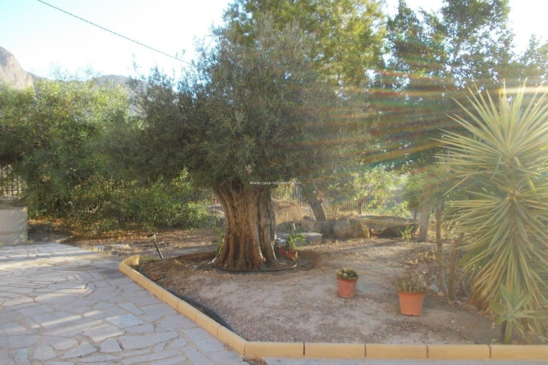 Wiederverkauf - Villa - Orihuela - Inland