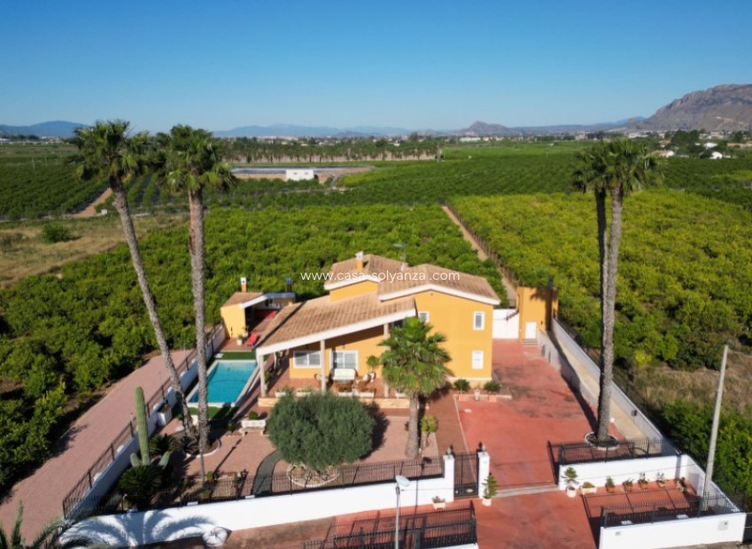 Wiederverkauf - Villa - Orihuela - Inland