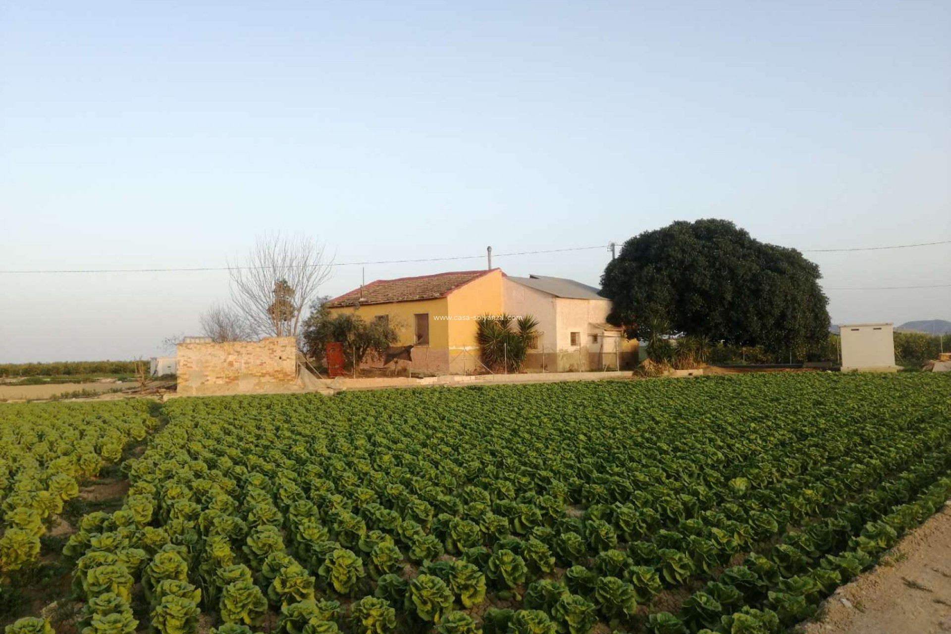 Wiederverkauf - Villa - Orihuela