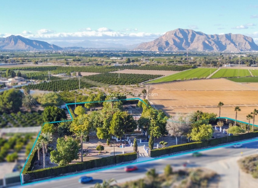 Wiederverkauf - Villa - Orihuela