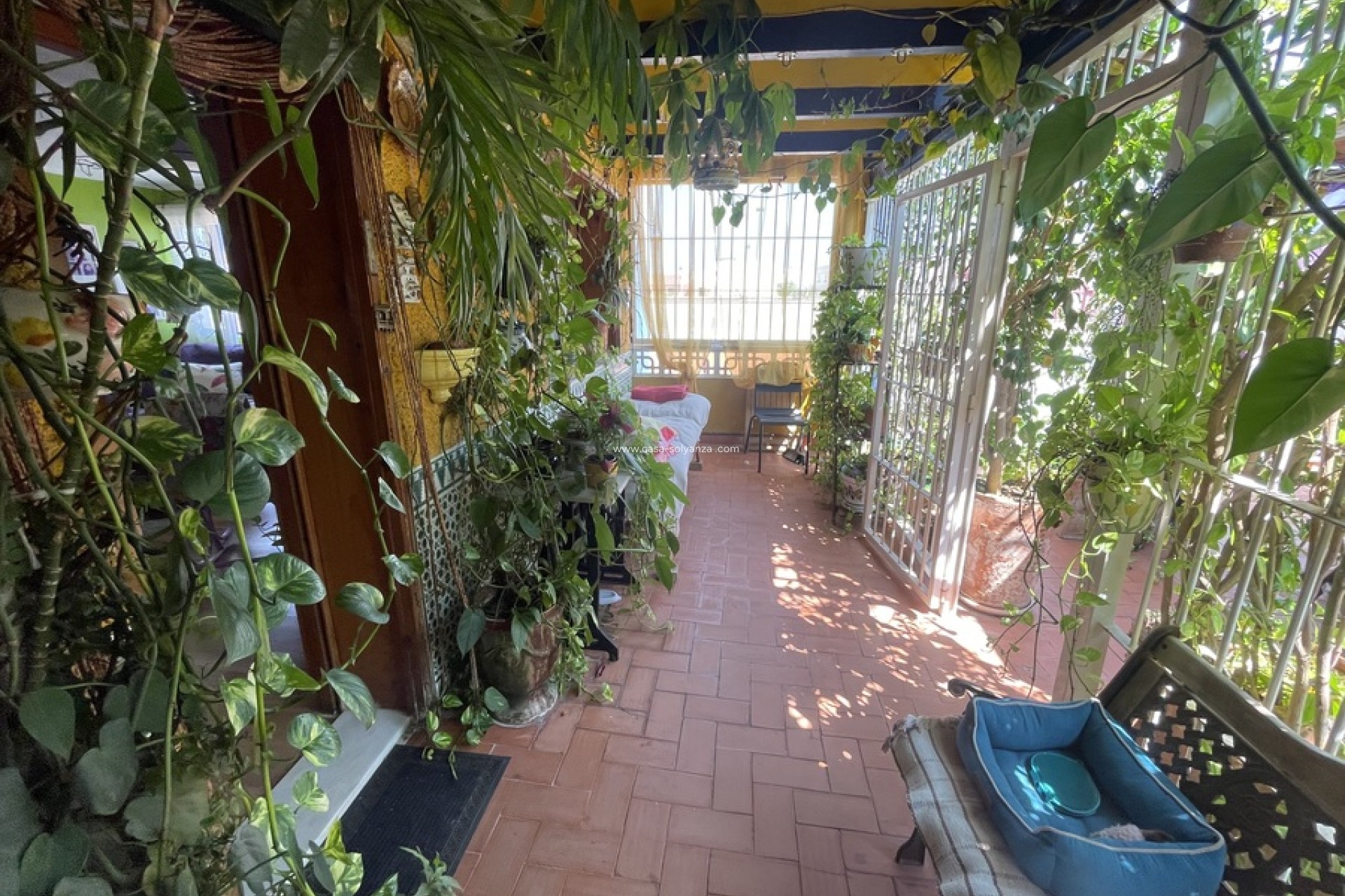 Wiederverkauf - Villa - Rojales