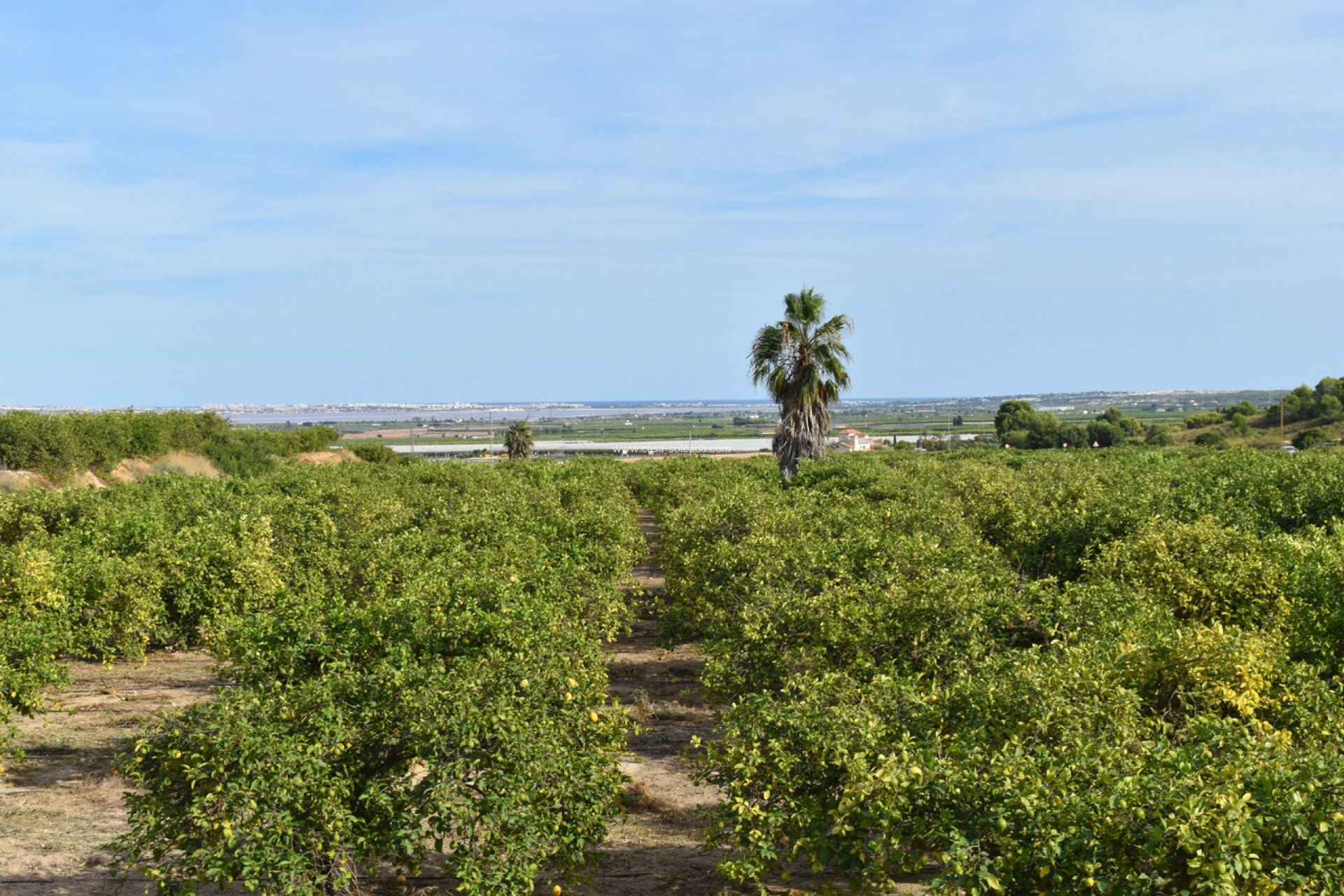Wiederverkauf - Villa - Torremendo - Costa Blanca