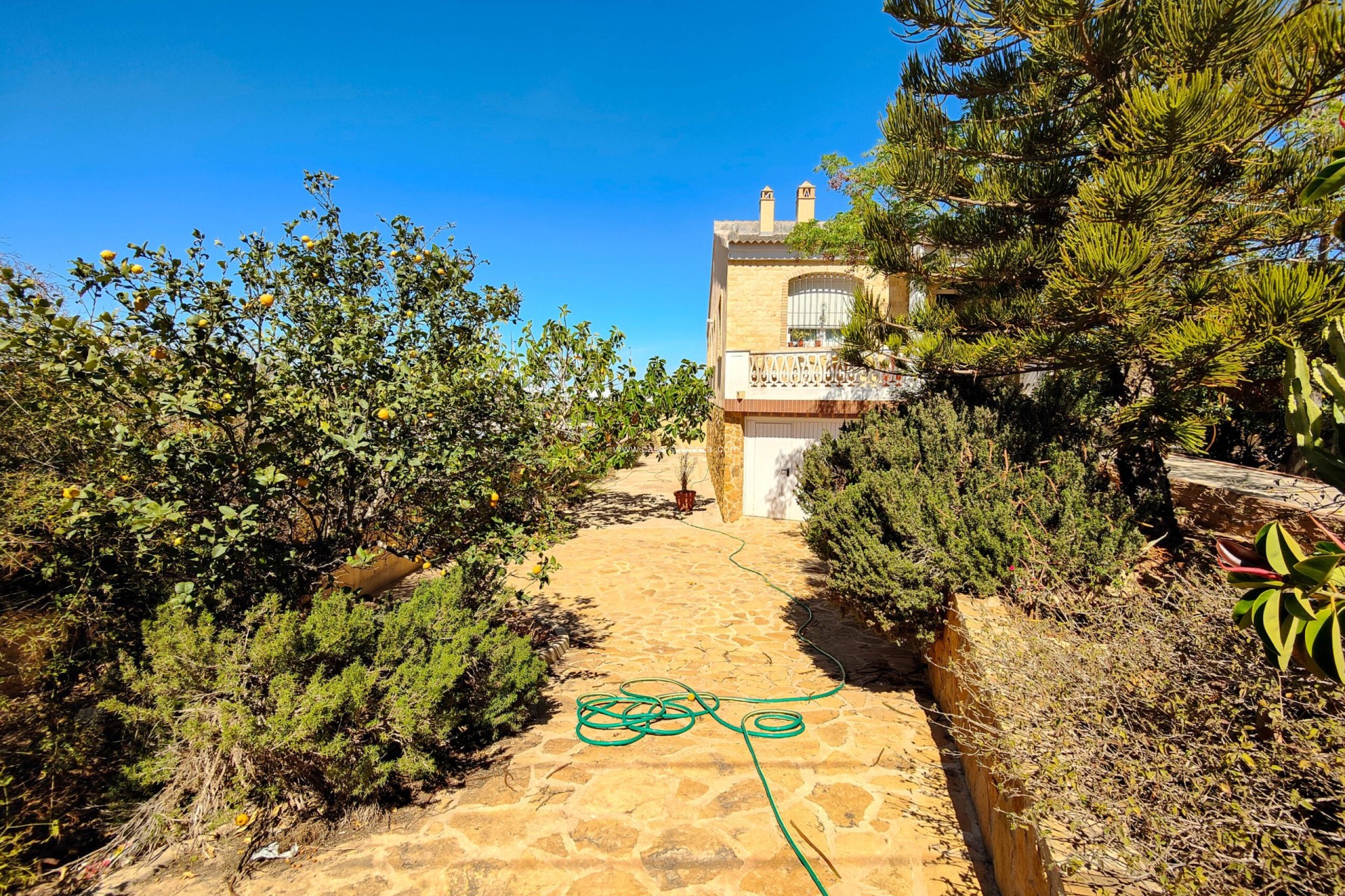 Wiederverkauf - Villa - Torrevieja - Costa Blanca