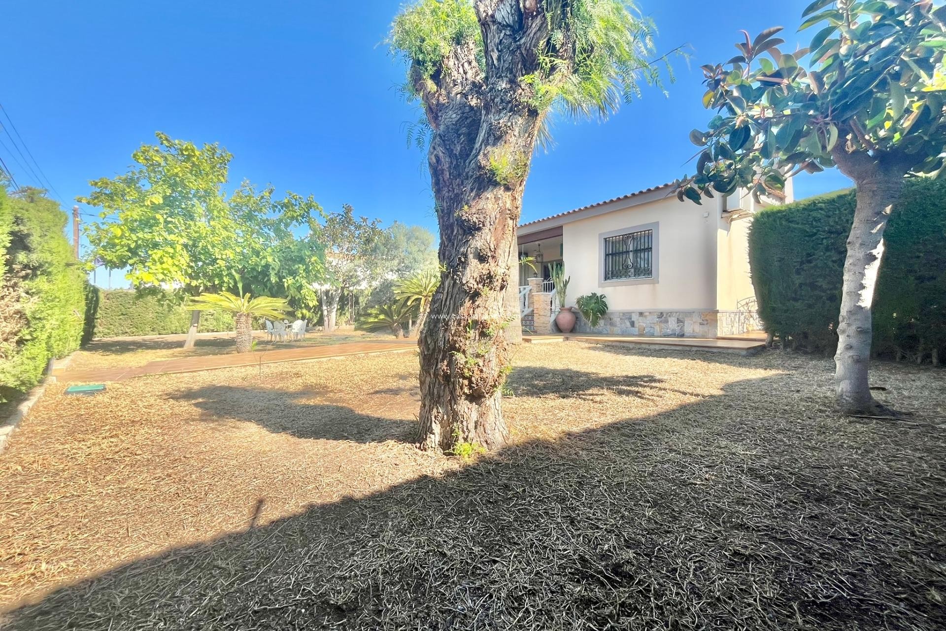 Wiederverkauf - Villa - Torrevieja - Los Balcones
